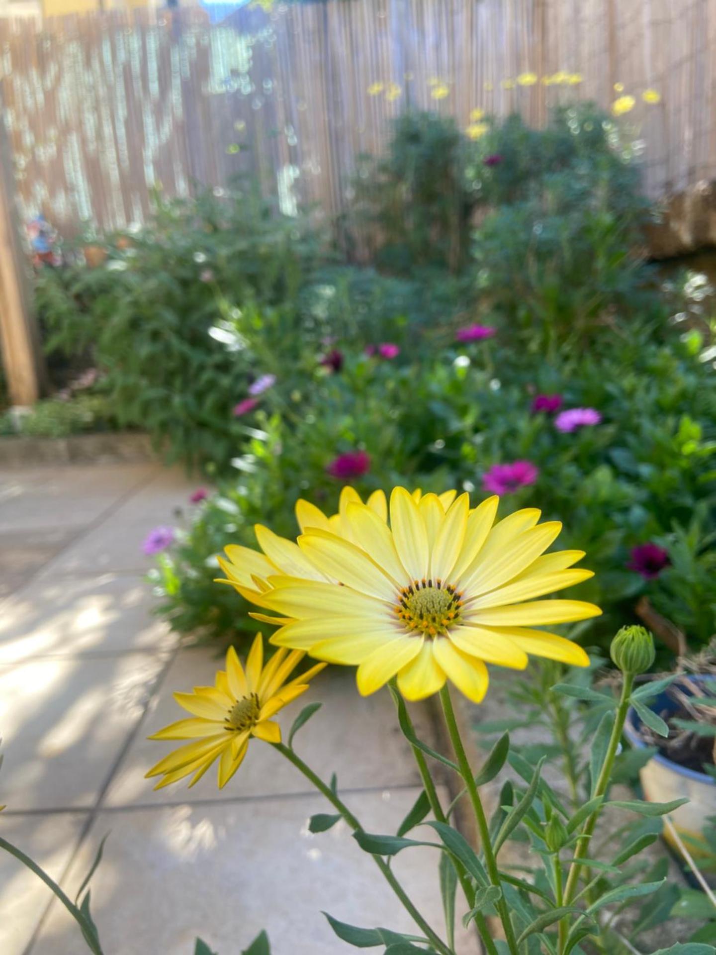La casa di Luana sulla via Francigena