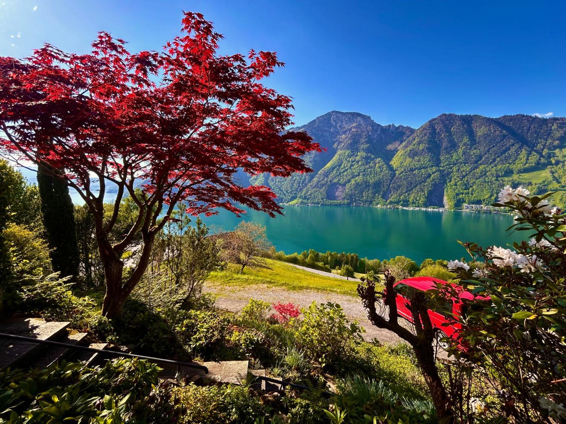 Panorama Lakeside Retreat Seelisberg