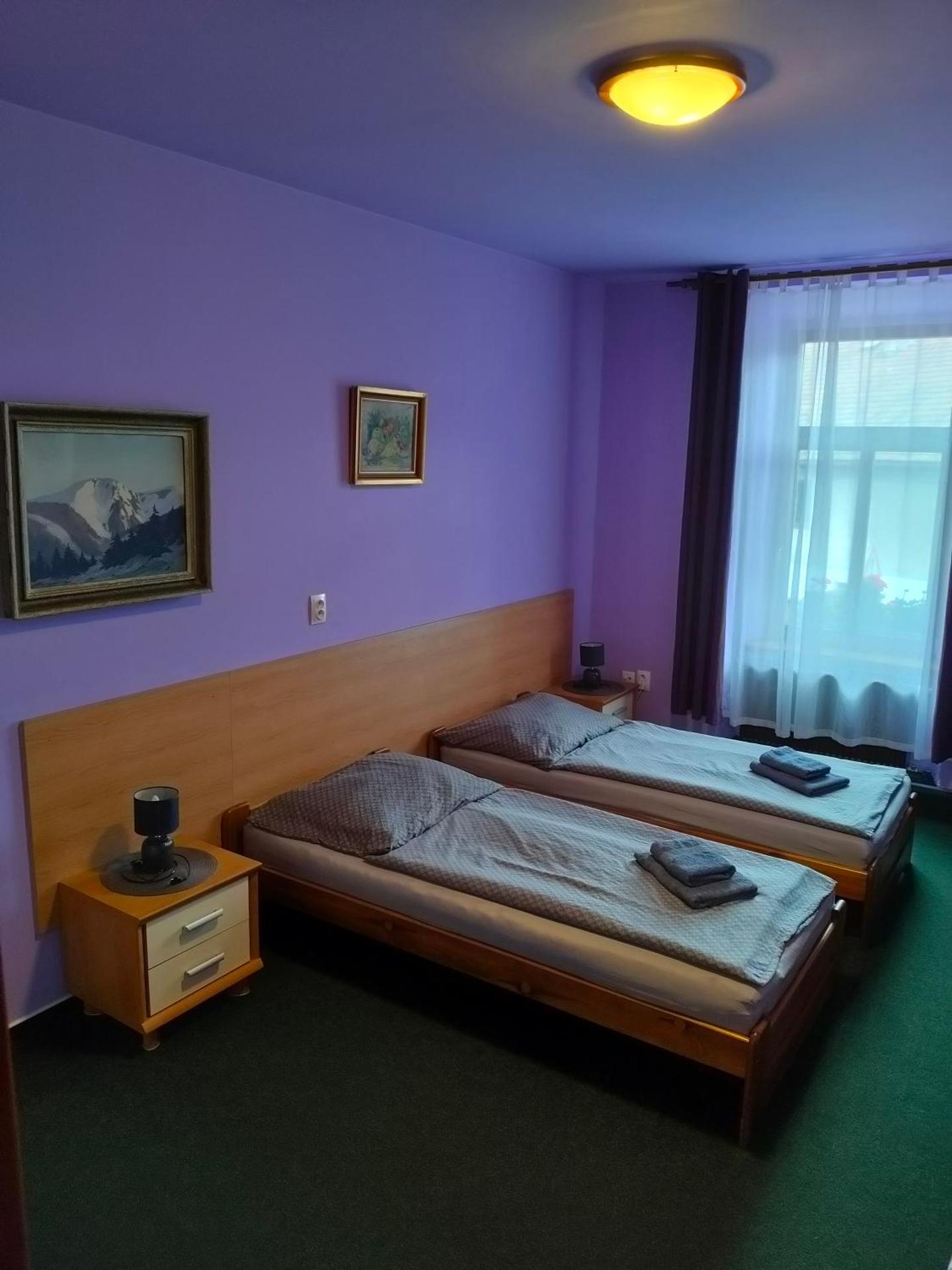 Double or Twin Room with Bathroom