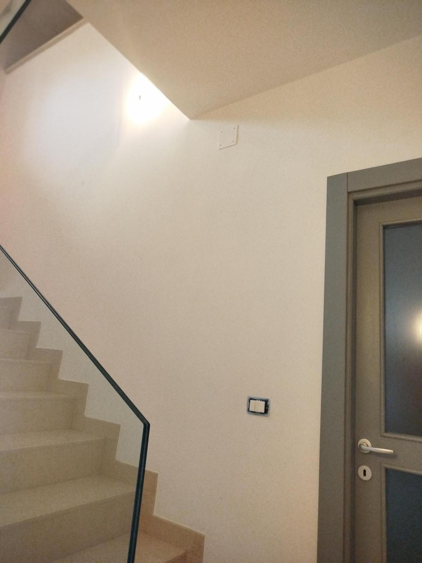 La Chioma di Berenice