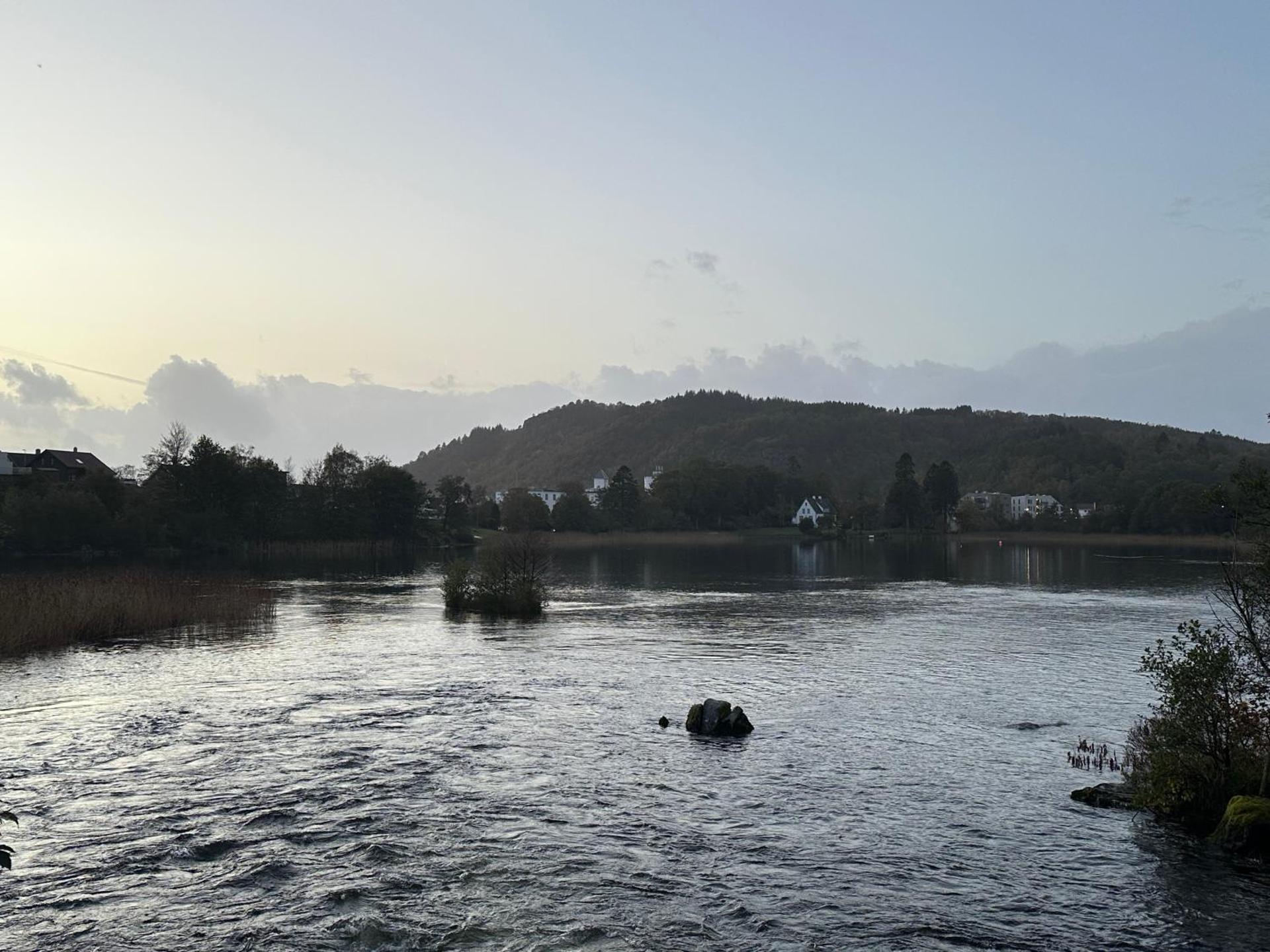 Bright and cozy apartment on Tau