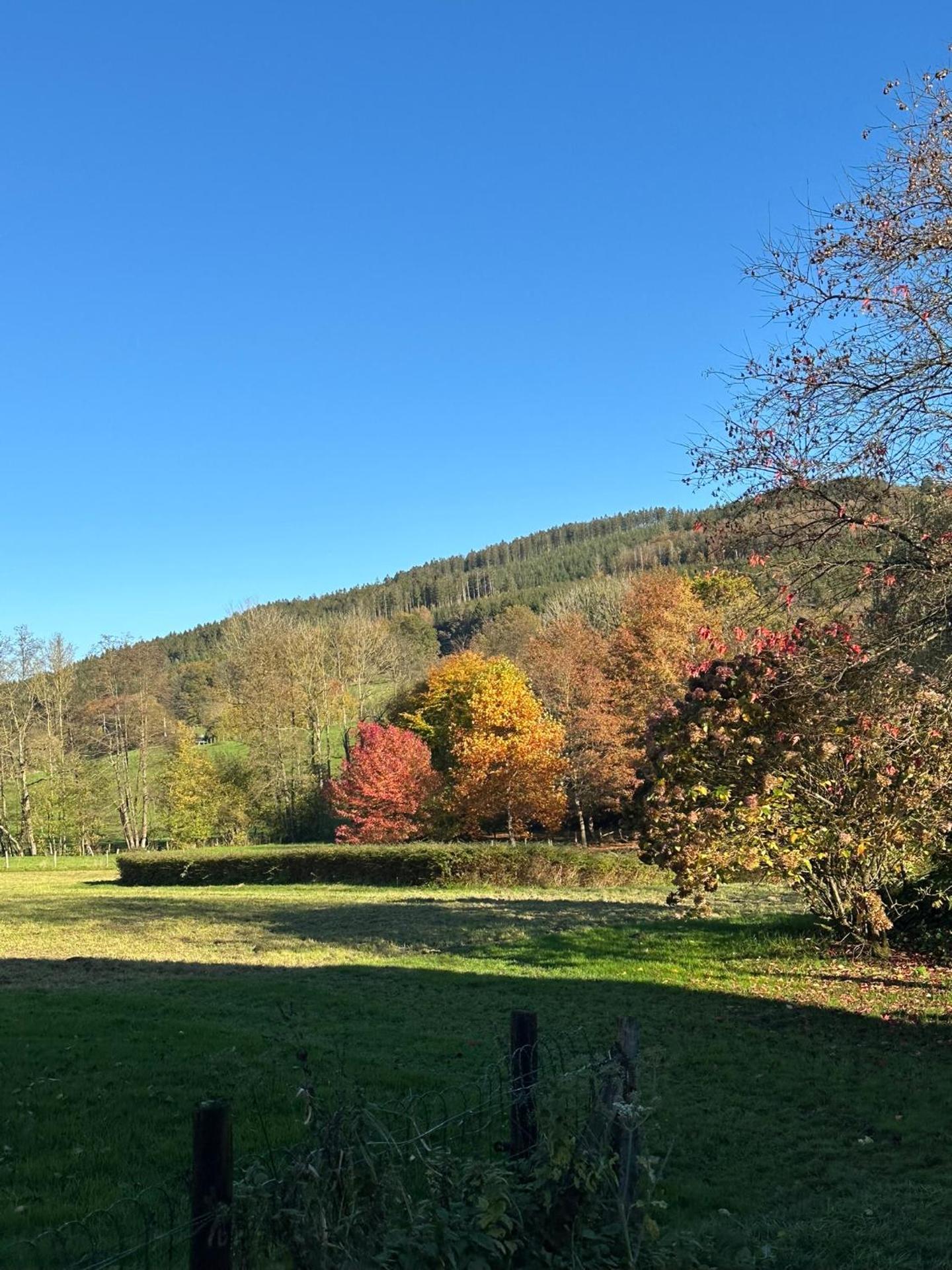 Paddock Lodge - Suites Wellness & Chambres d'hôtes