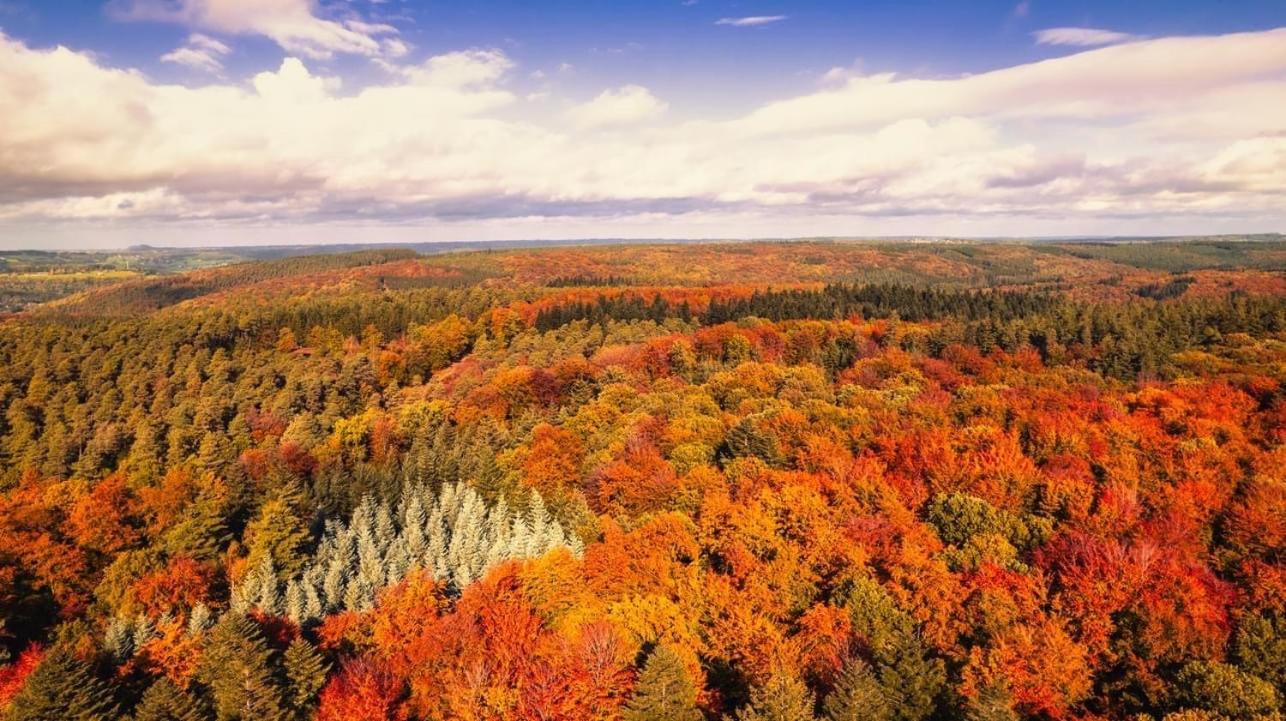 Paddock Lodge - Suites Wellness & Chambres d'hôtes