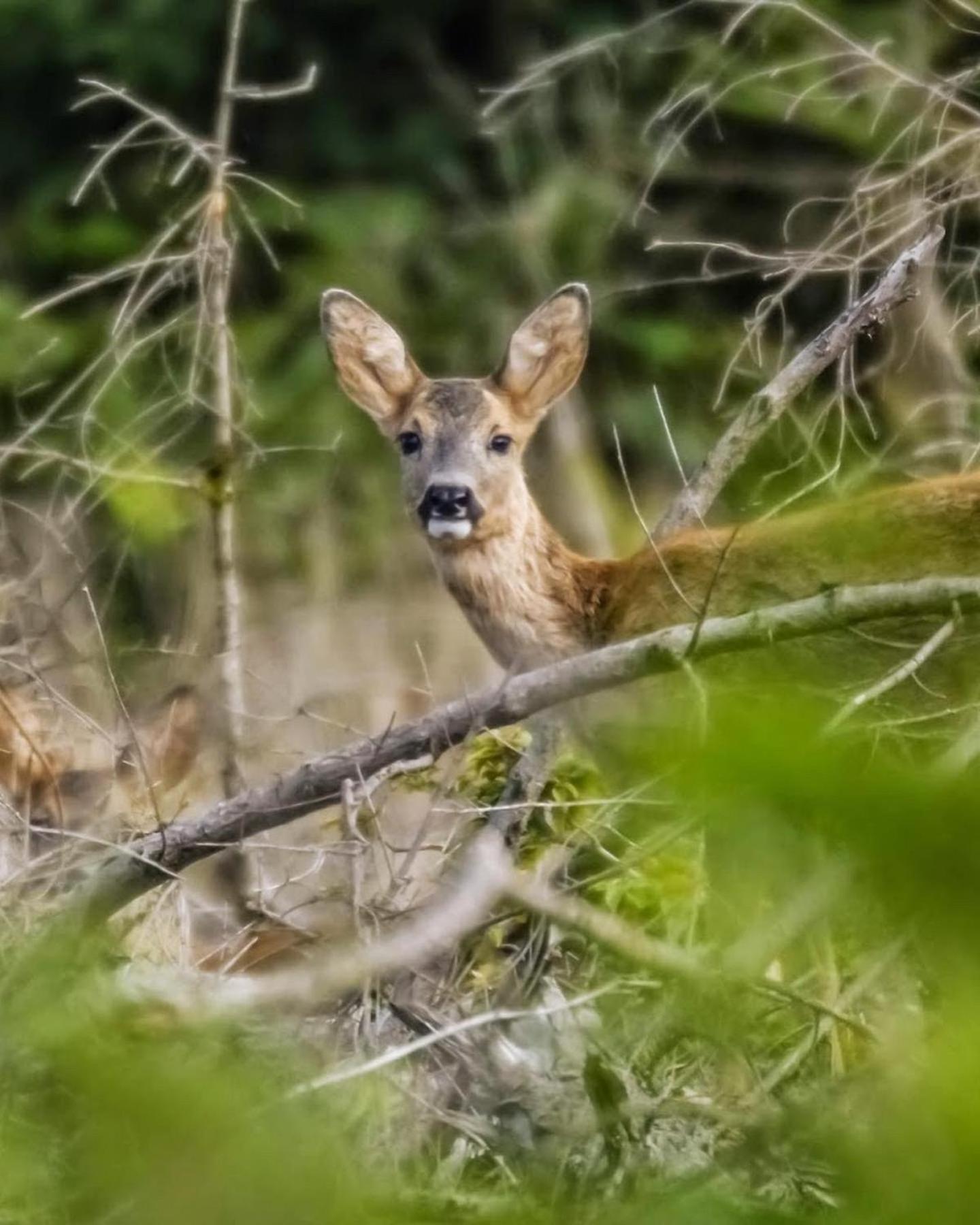 Paddock Lodge - Suites Wellness & Chambres d'hôtes