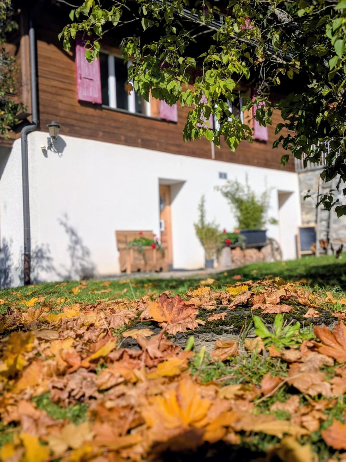 Chalet Sonnenhof Wengen