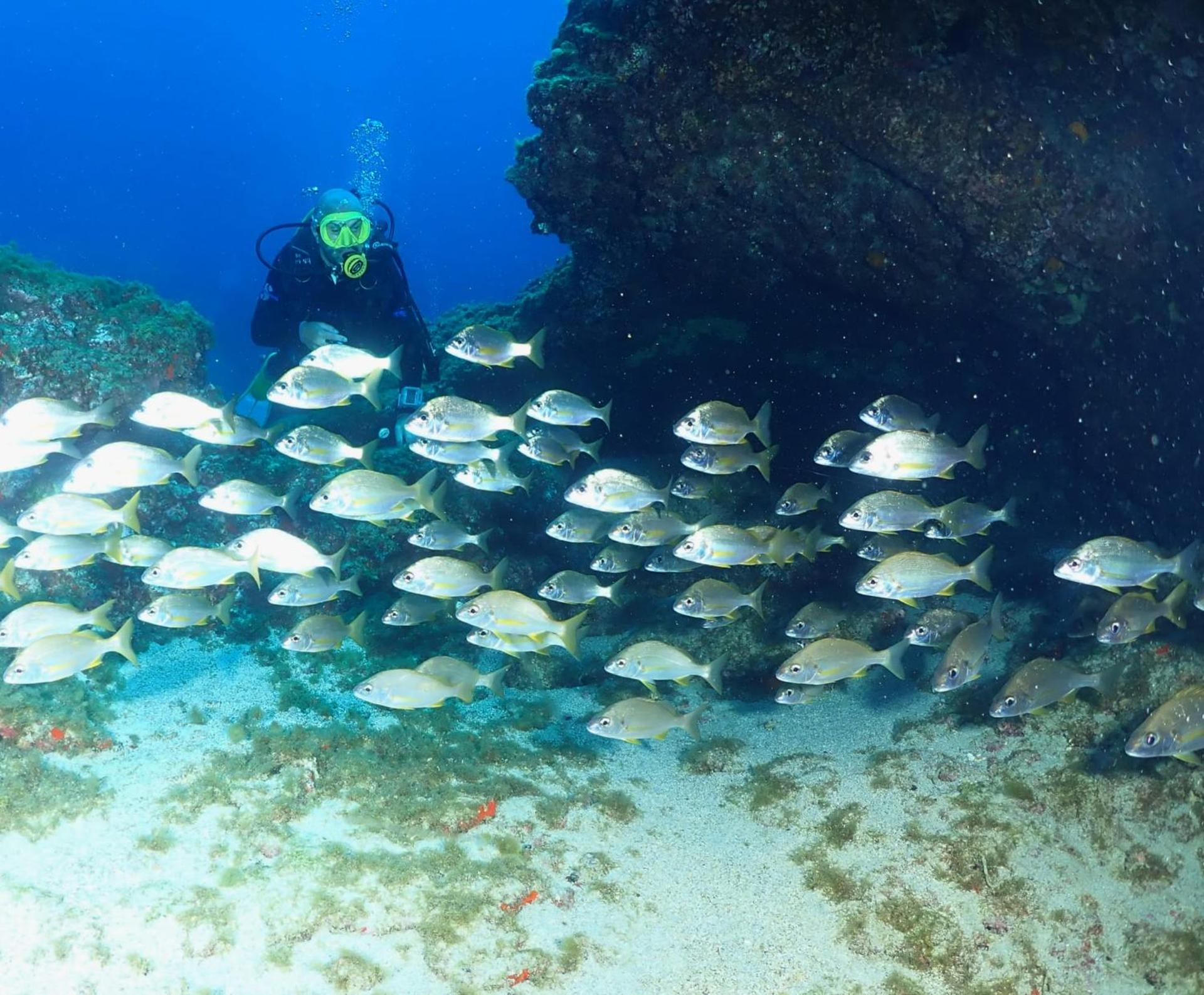 Single Fin Surf Hostel