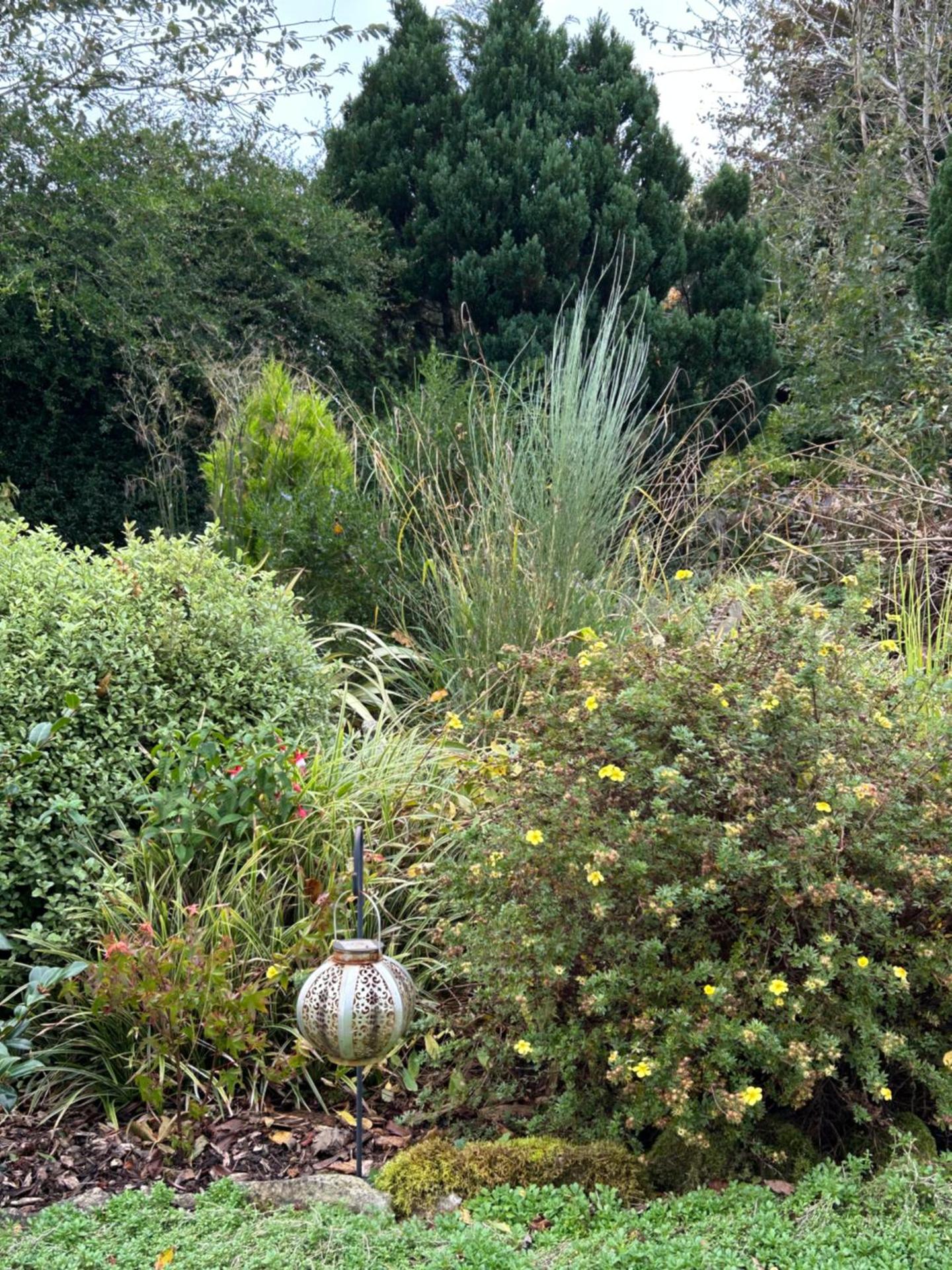 Reads Park Self - Catering Accommodation