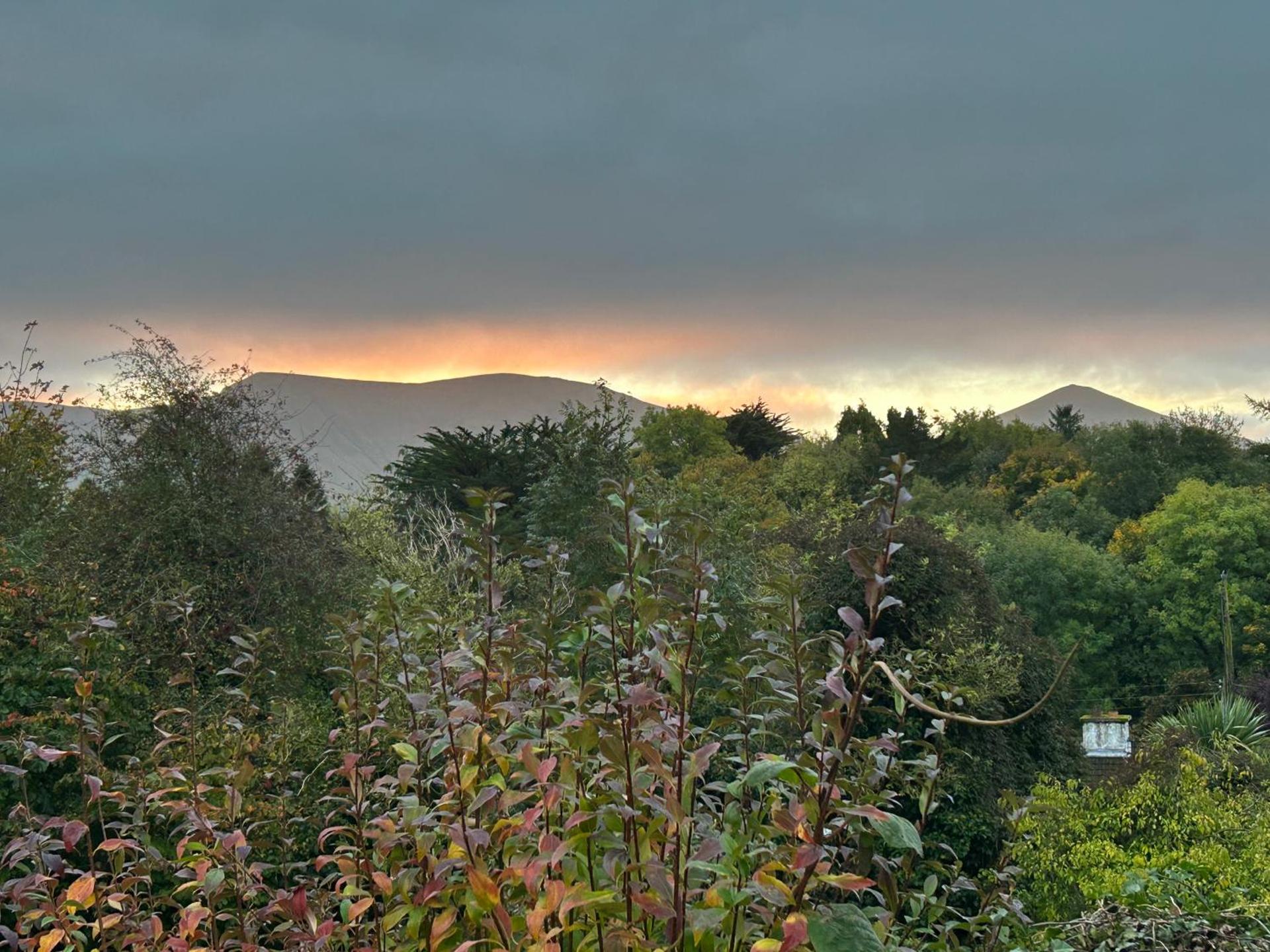 Reads Park Self - Catering Accommodation