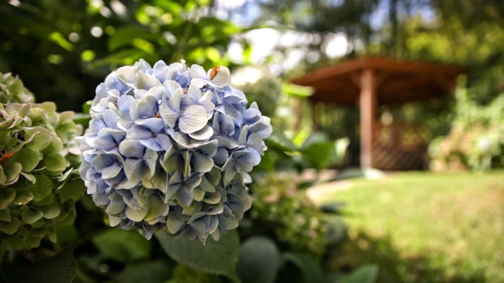 Villa pré d'Oro - 1000 étangs