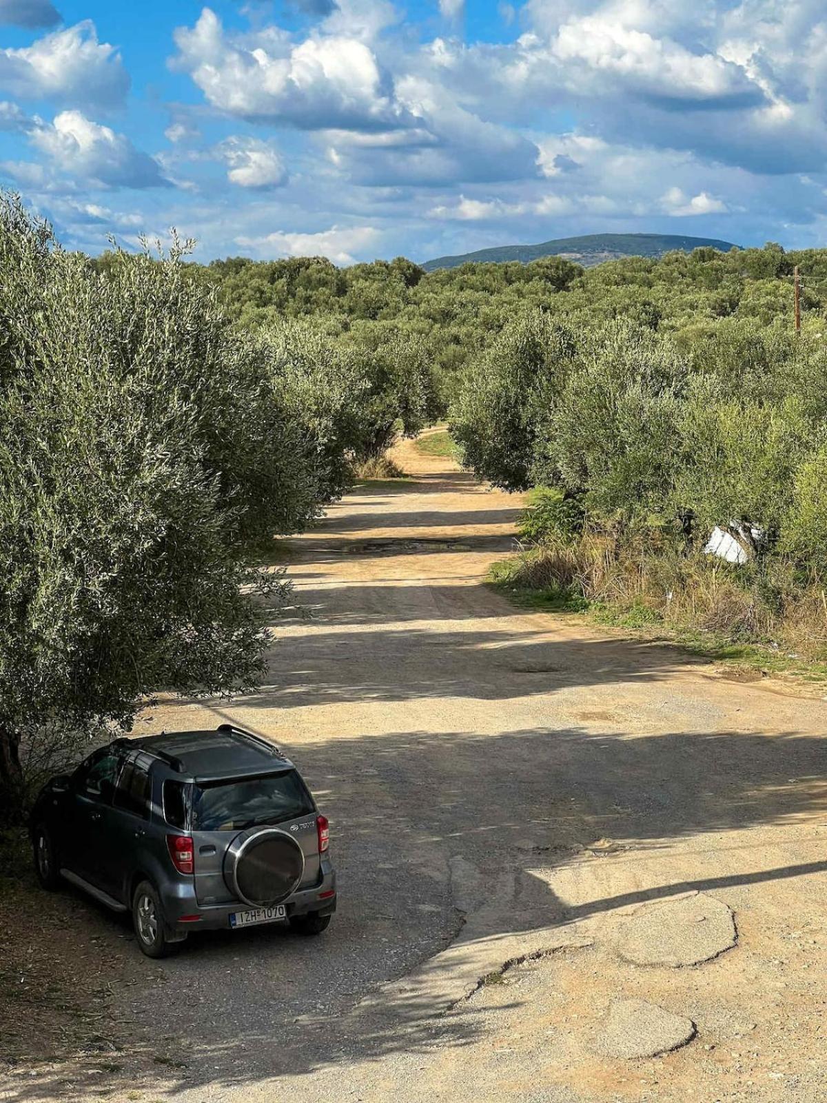 View (from property/room)