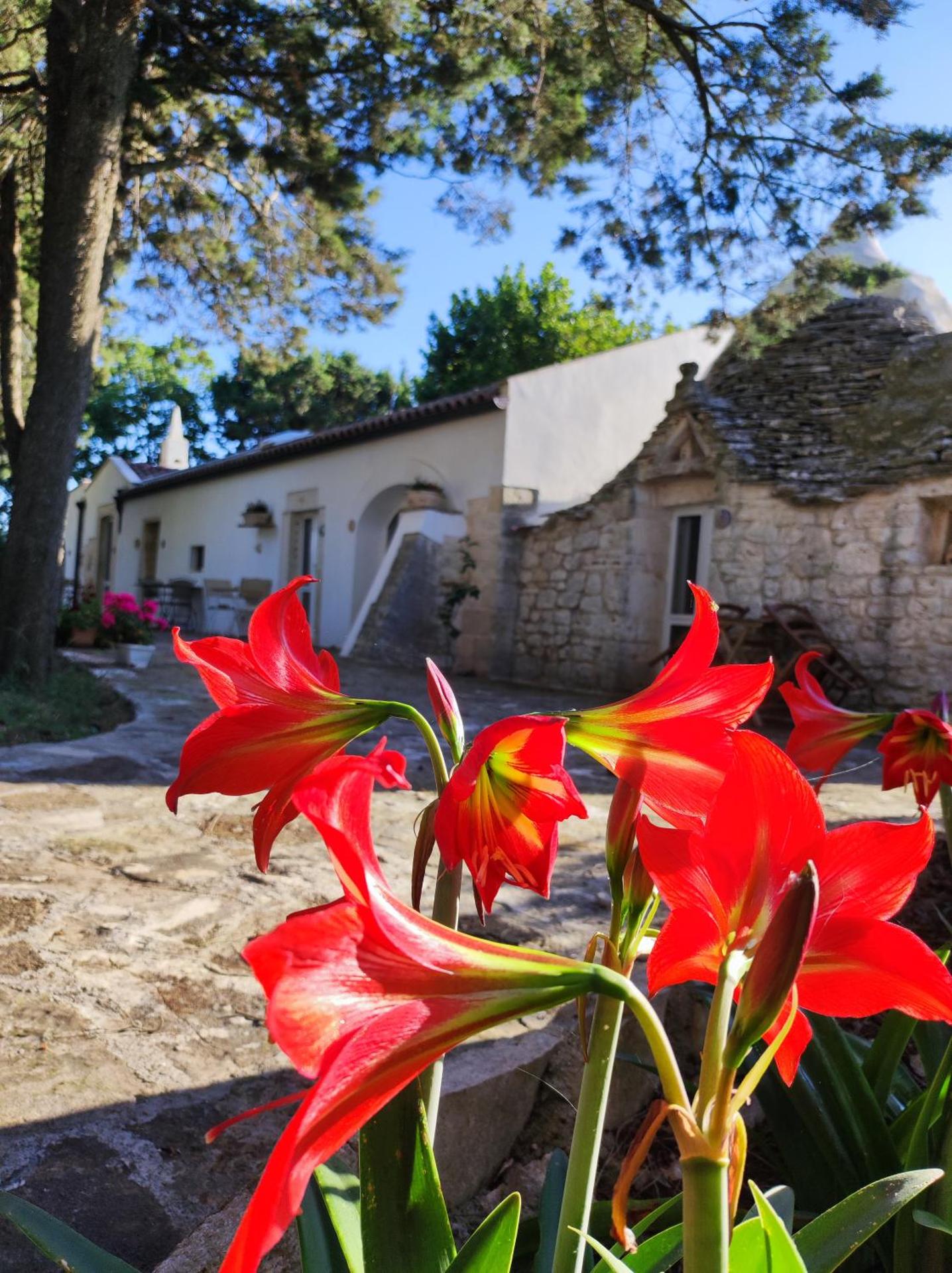 B&B Parco del Lamione