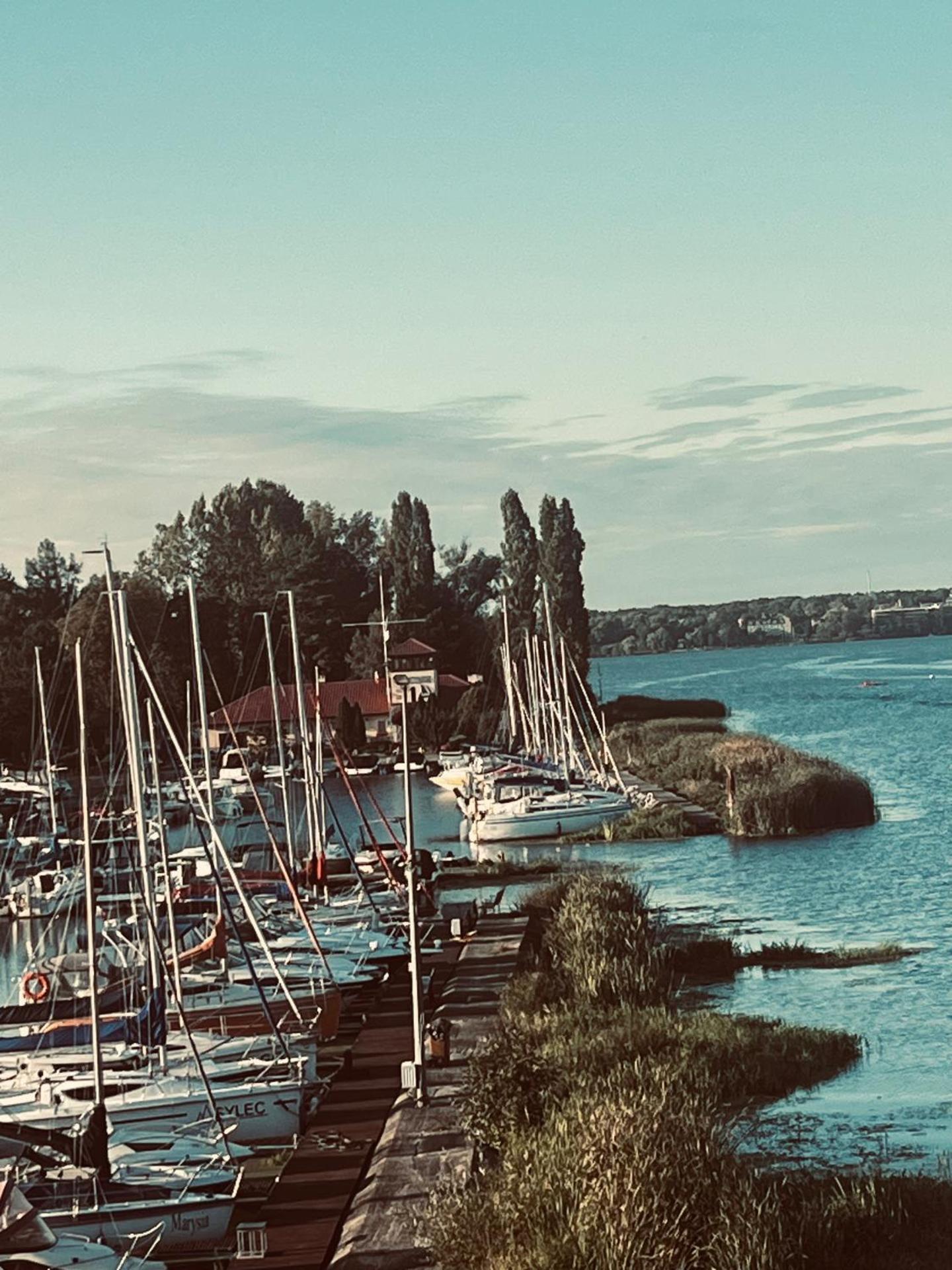 HACIENDA & Królicza Nora