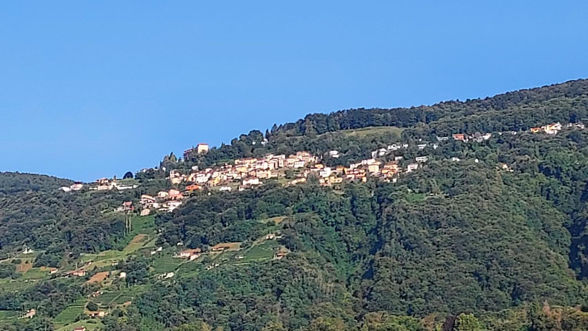 Two BIG entire apartments with stunning view