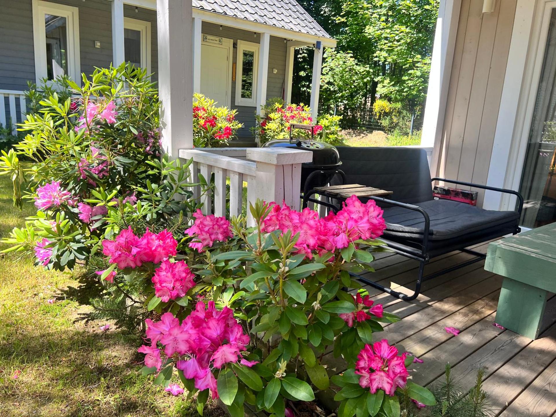 Domki nad morzem Sasino Mojo Miodno Checz