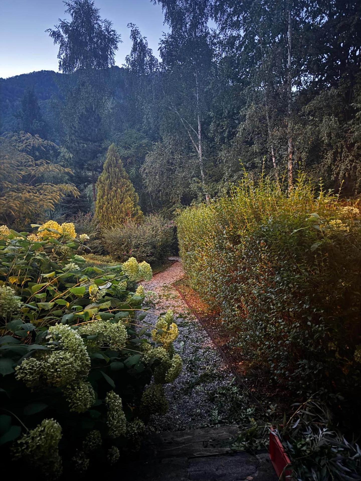 Pensiunea Restaurant Casa Lacului