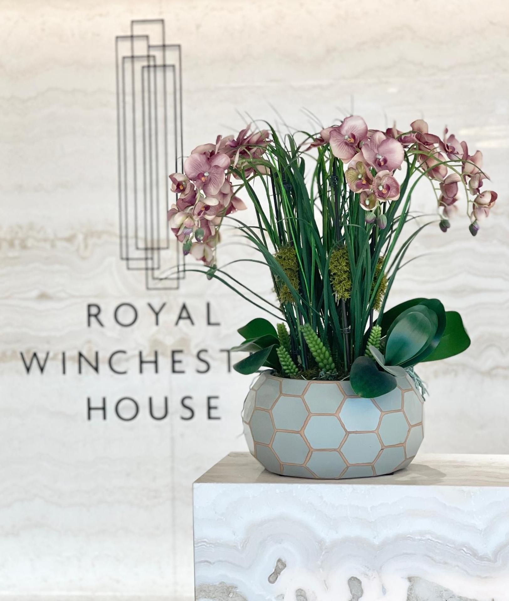 Spacious Urban Gem Apartment with parking