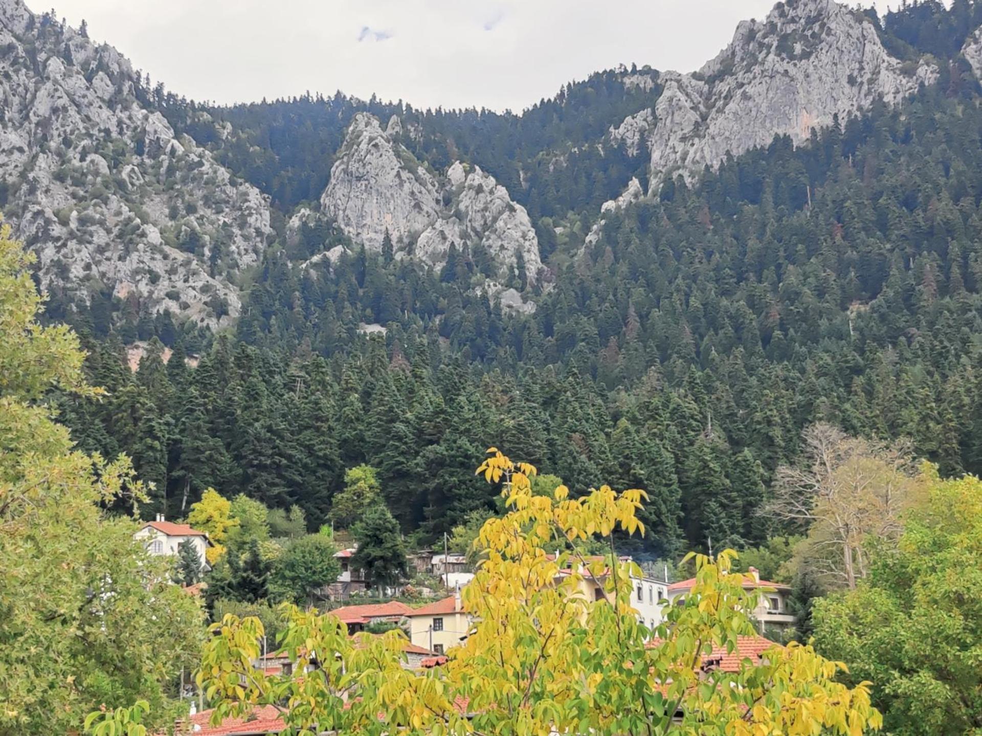 Ξενώνας Θεοδώρου