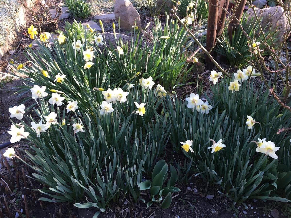 Super maison 5 pièces avec jardin