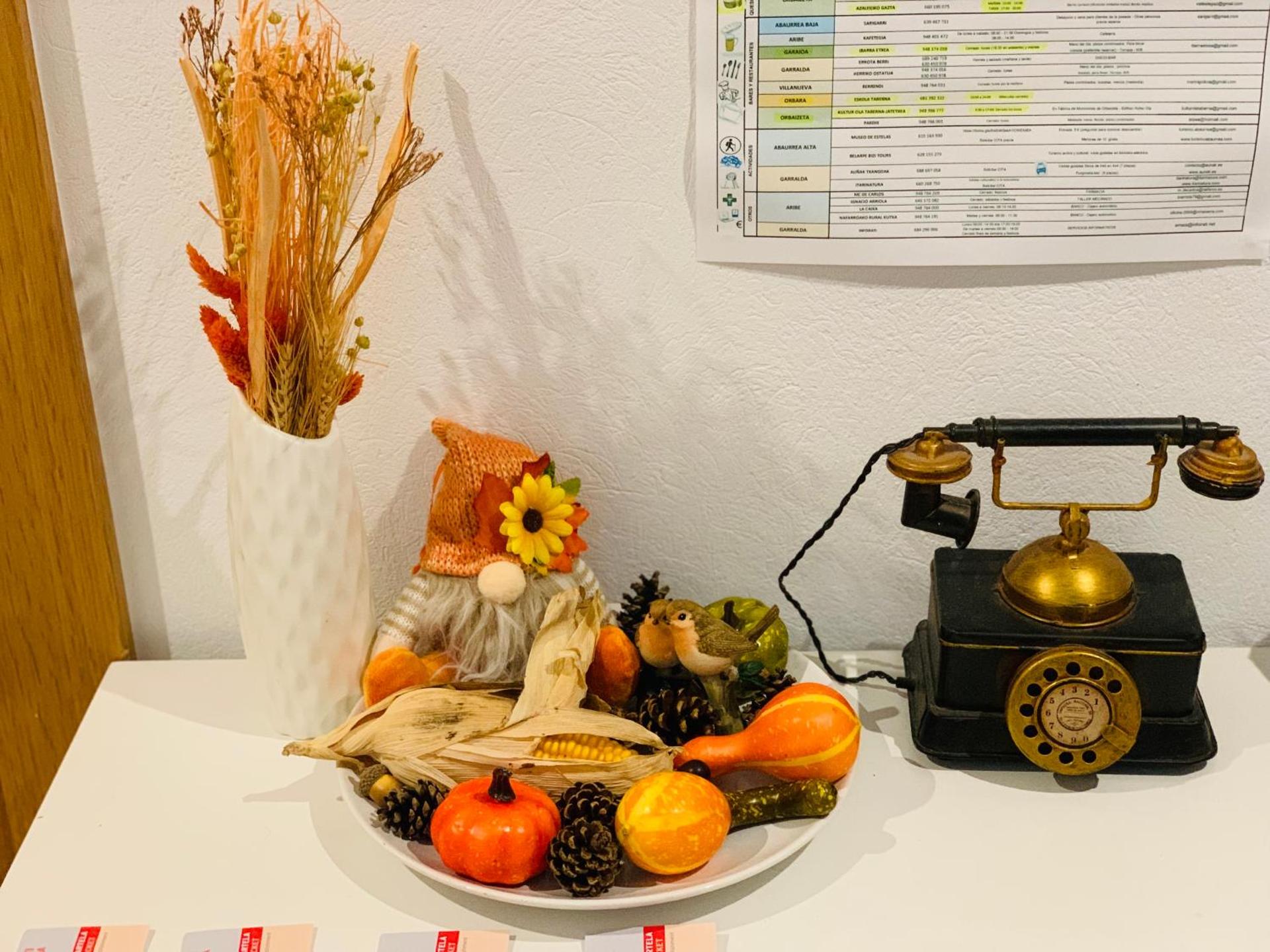 Apartamentos Zabalarena Ola