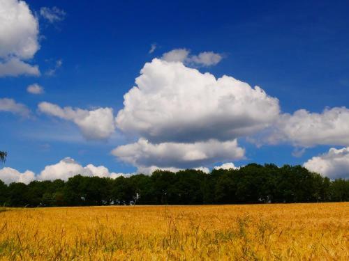 Bei Pina - Schöne Dachgeschosswohnung nahe Düsseldorf