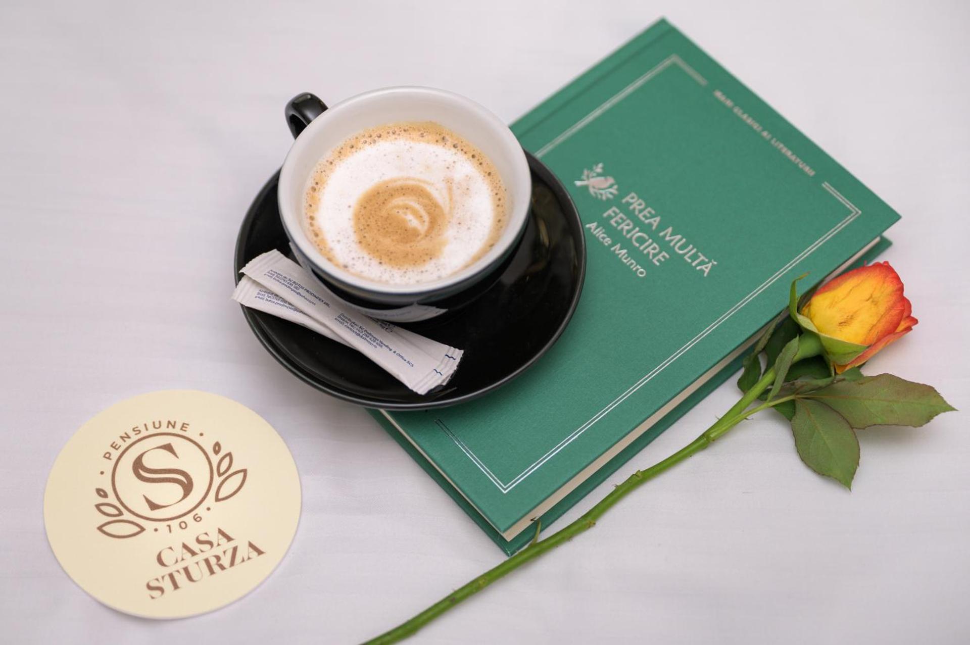 Pensiunea Casa Sturza