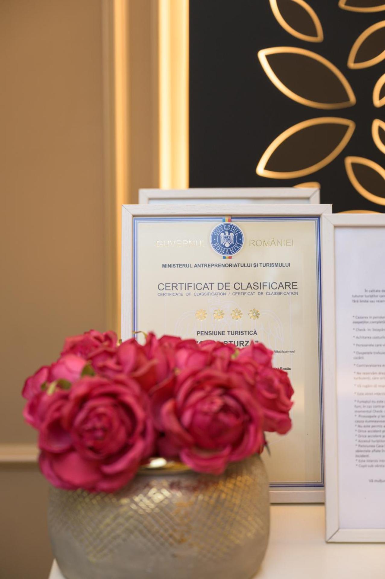 Pensiunea Casa Sturza