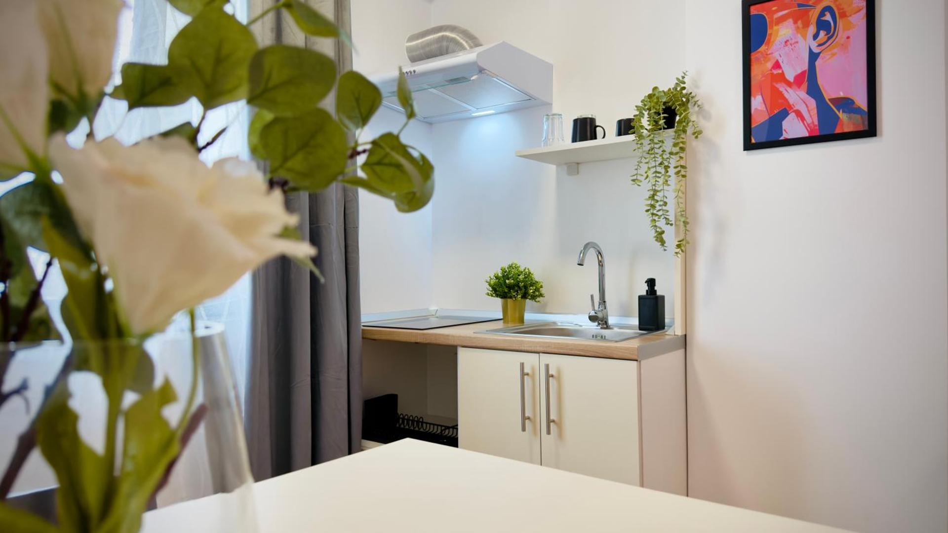 Kitchen or kitchenette