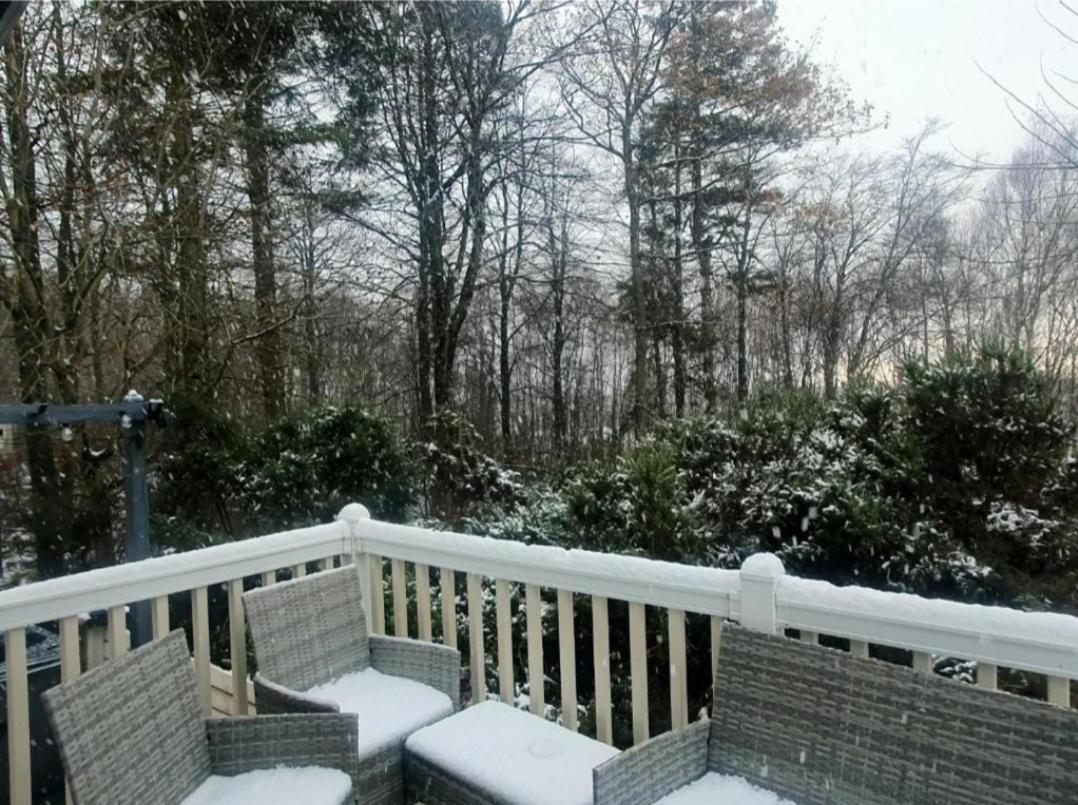 The Treehouse Northumberland