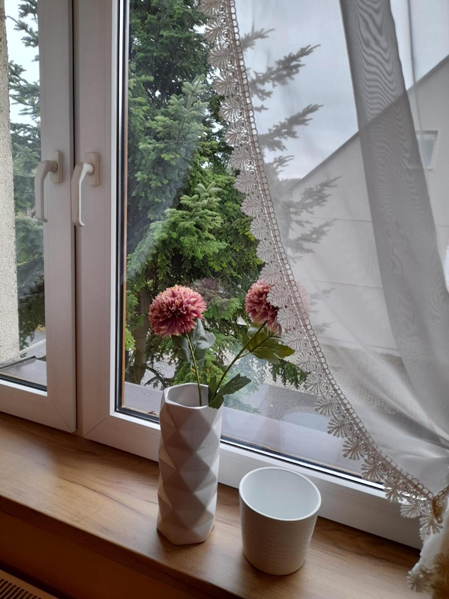 Mieszkanie w centrum Gogolina