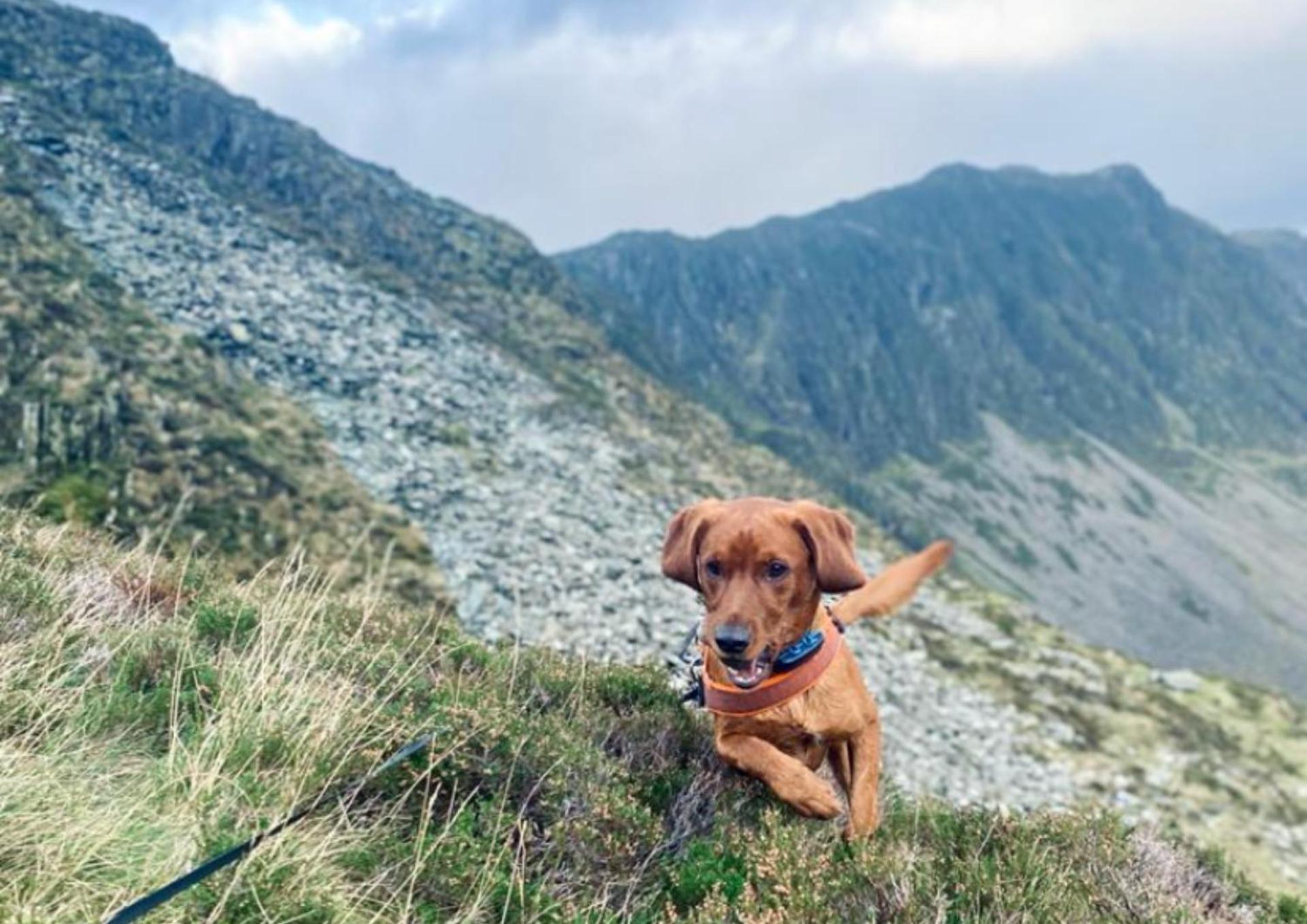 Buttermere Court Hotel