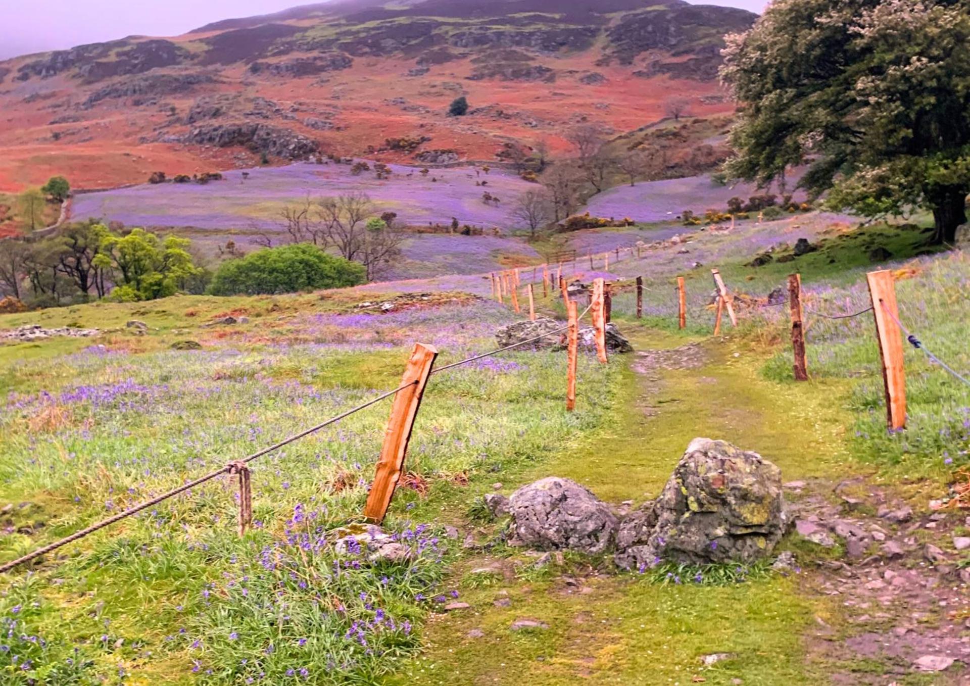 Buttermere Court Hotel