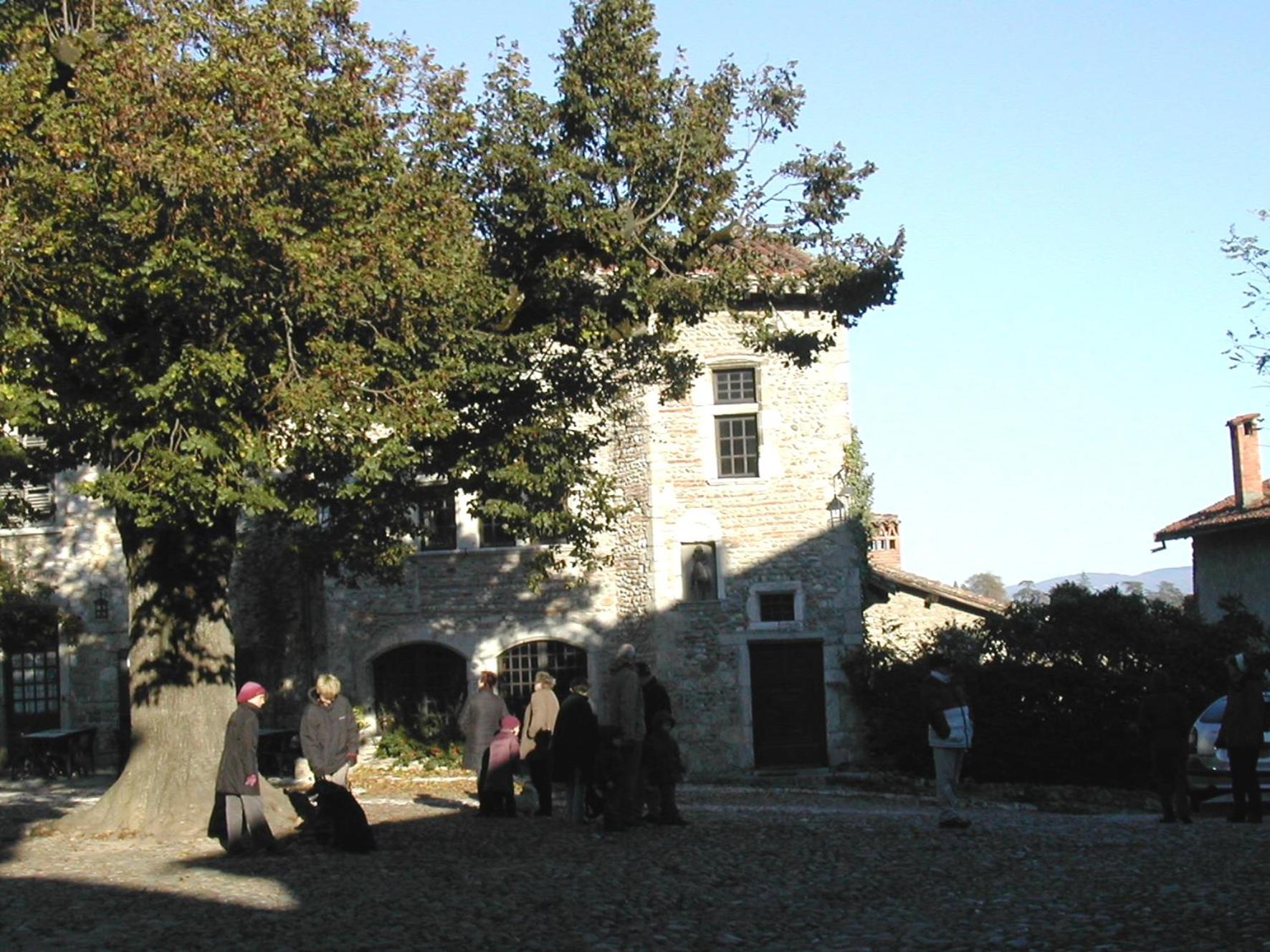 Superior Family Room