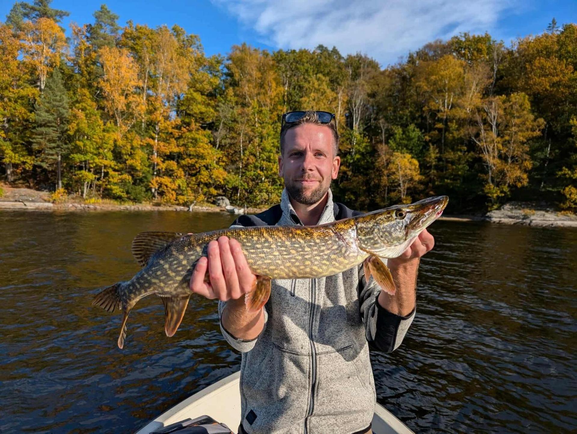 Älgbergets Bed & Breakfast