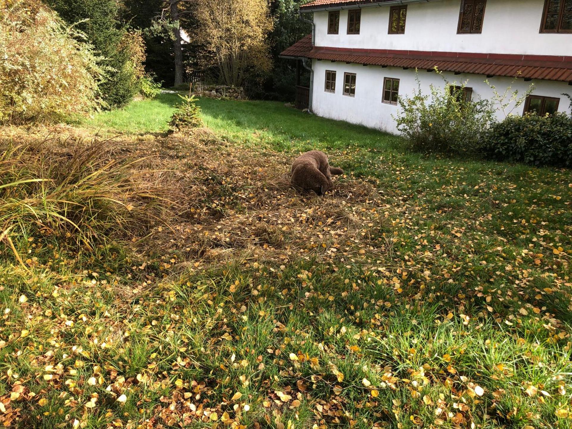 Chaloupka u Jiřího