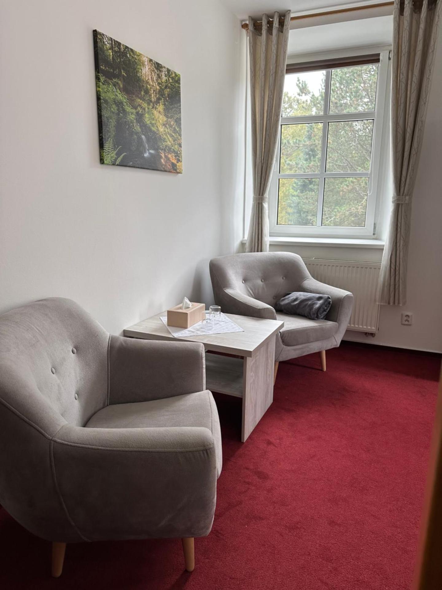 Hotel Zámeček Raspenava