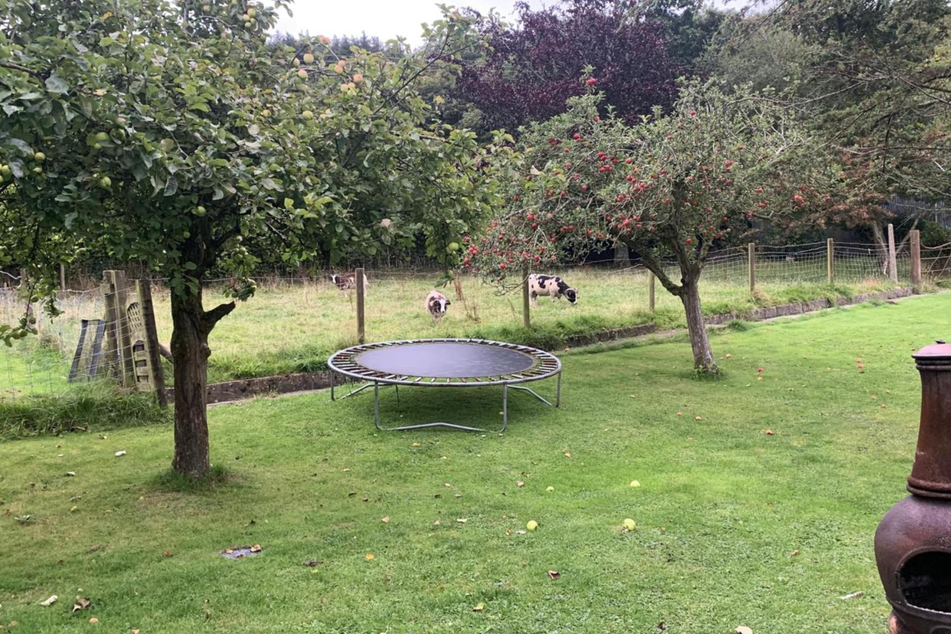 2-Bed Cabin Sleeps 4 -Small Pets Ok -Free Parking