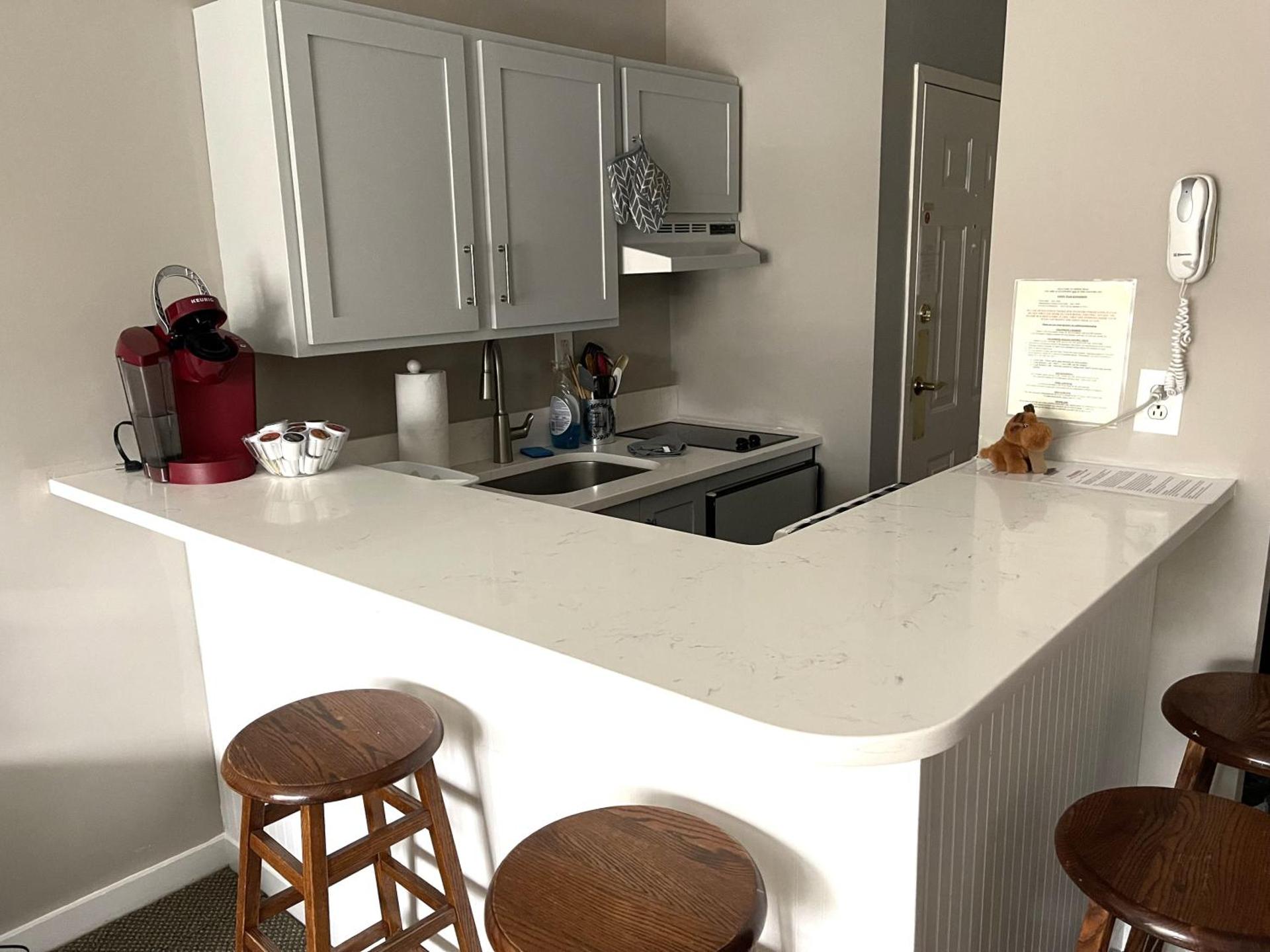 Deluxe Ski On Off 1BR Suite Sleeps 4 on Jiminy Mtn