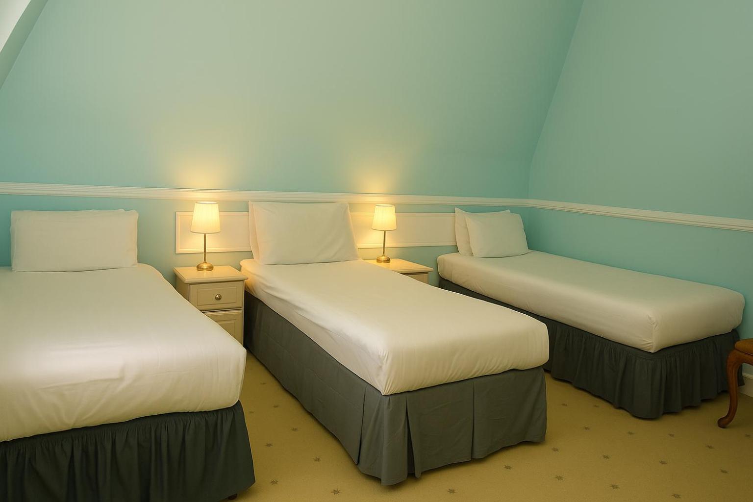 Standard Family Room