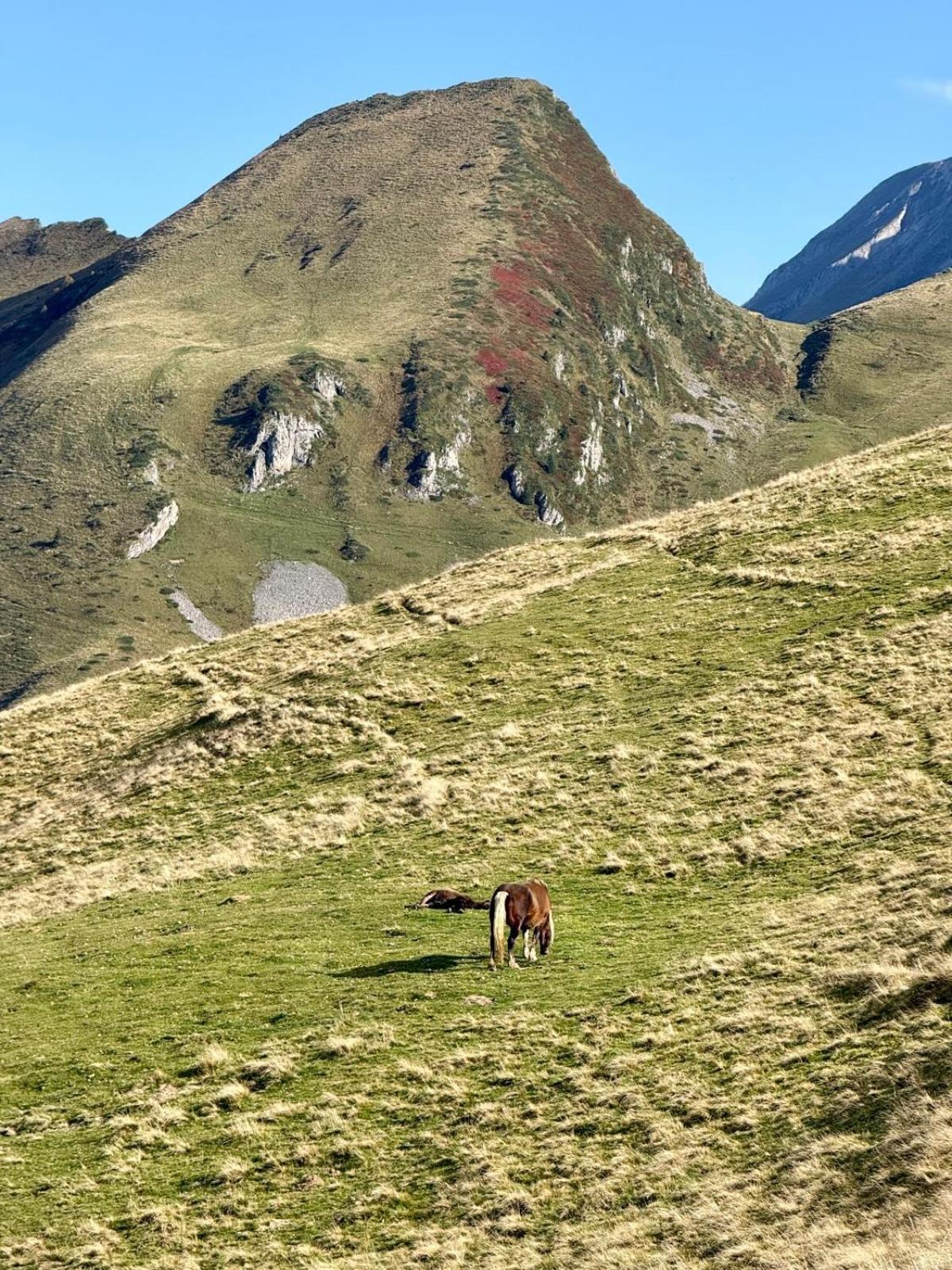Résidence Bonnecaze