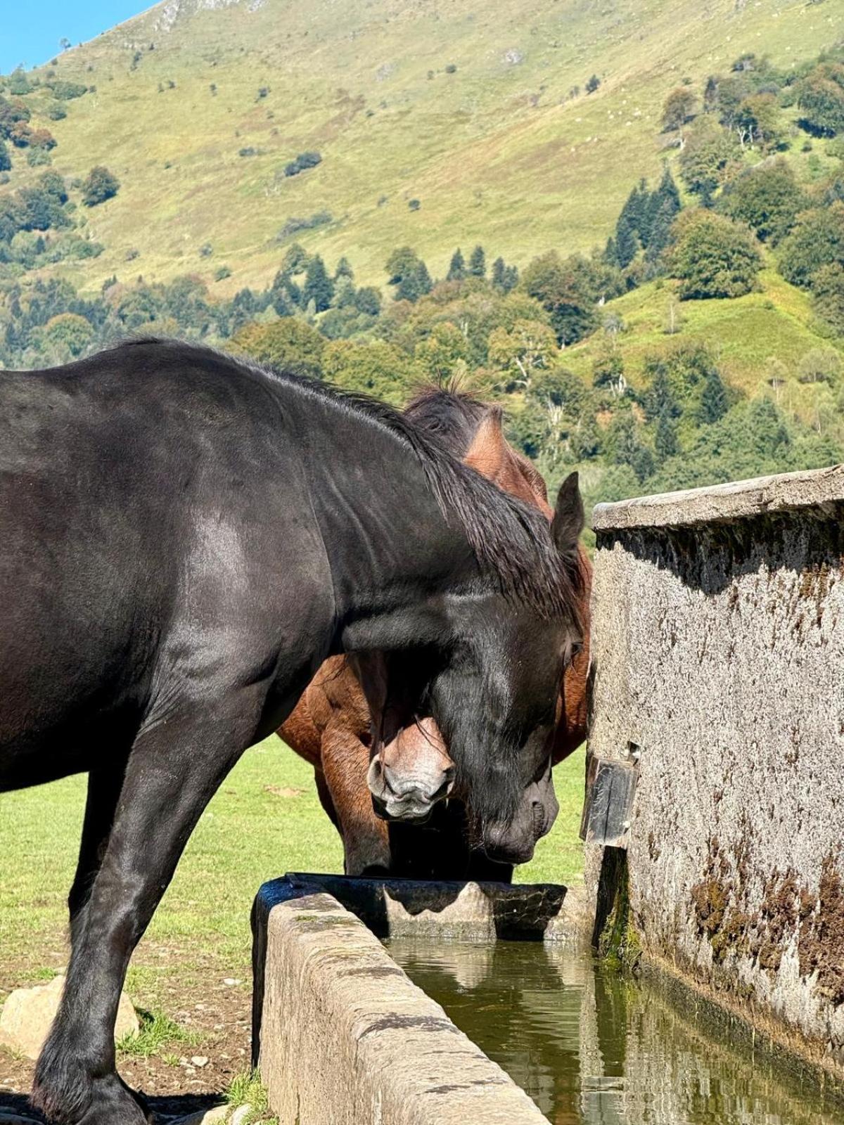 Résidence Bonnecaze