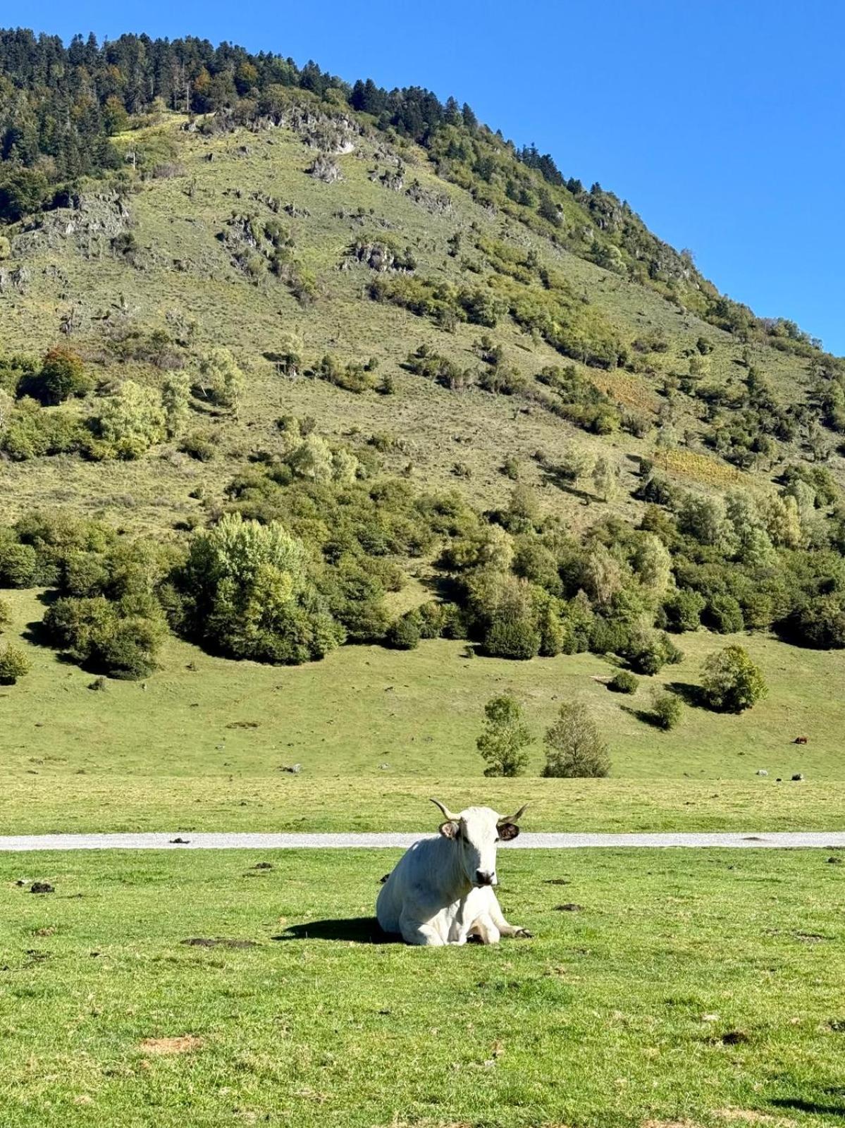Résidence Bonnecaze