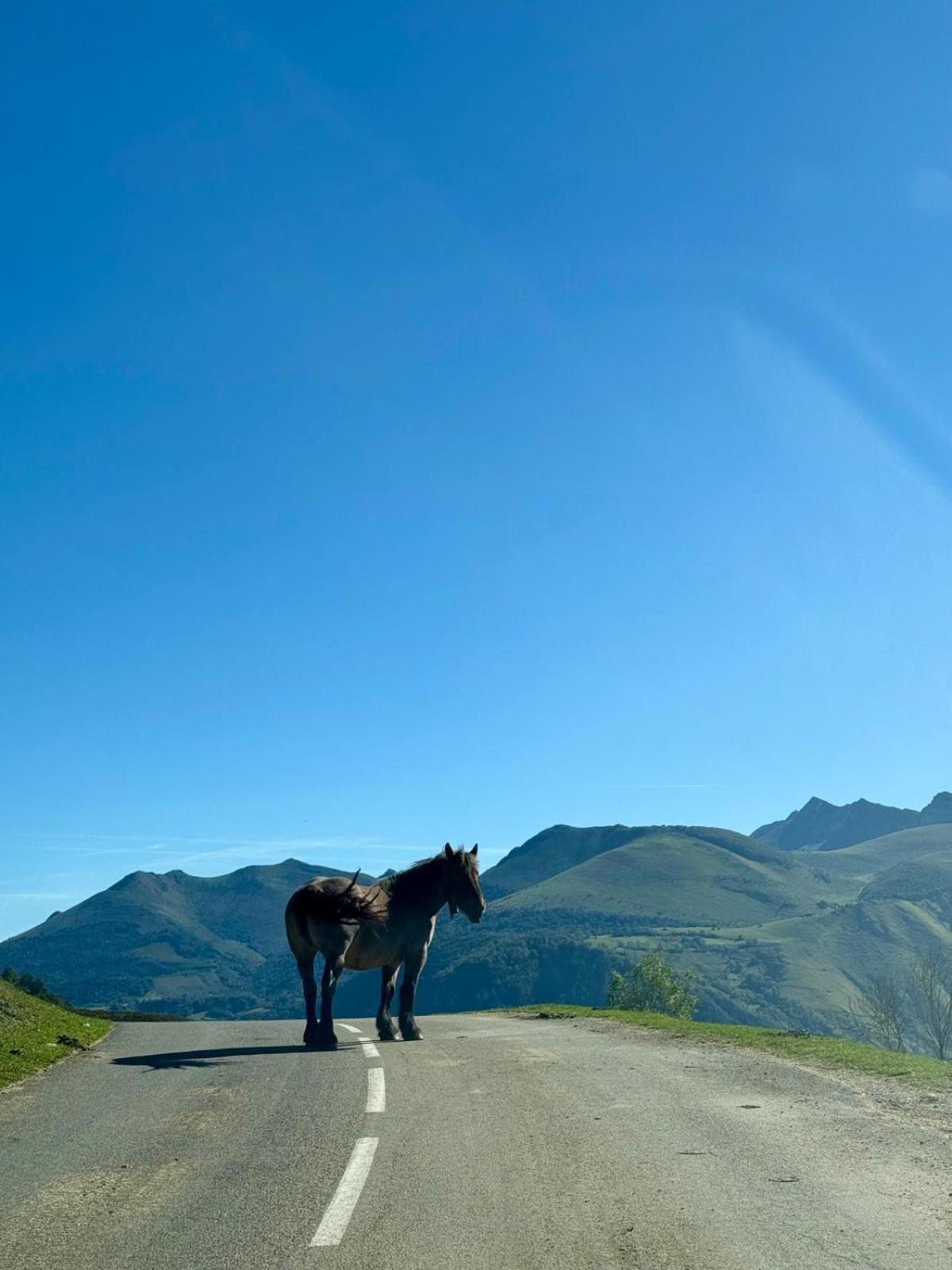 Résidence Bonnecaze