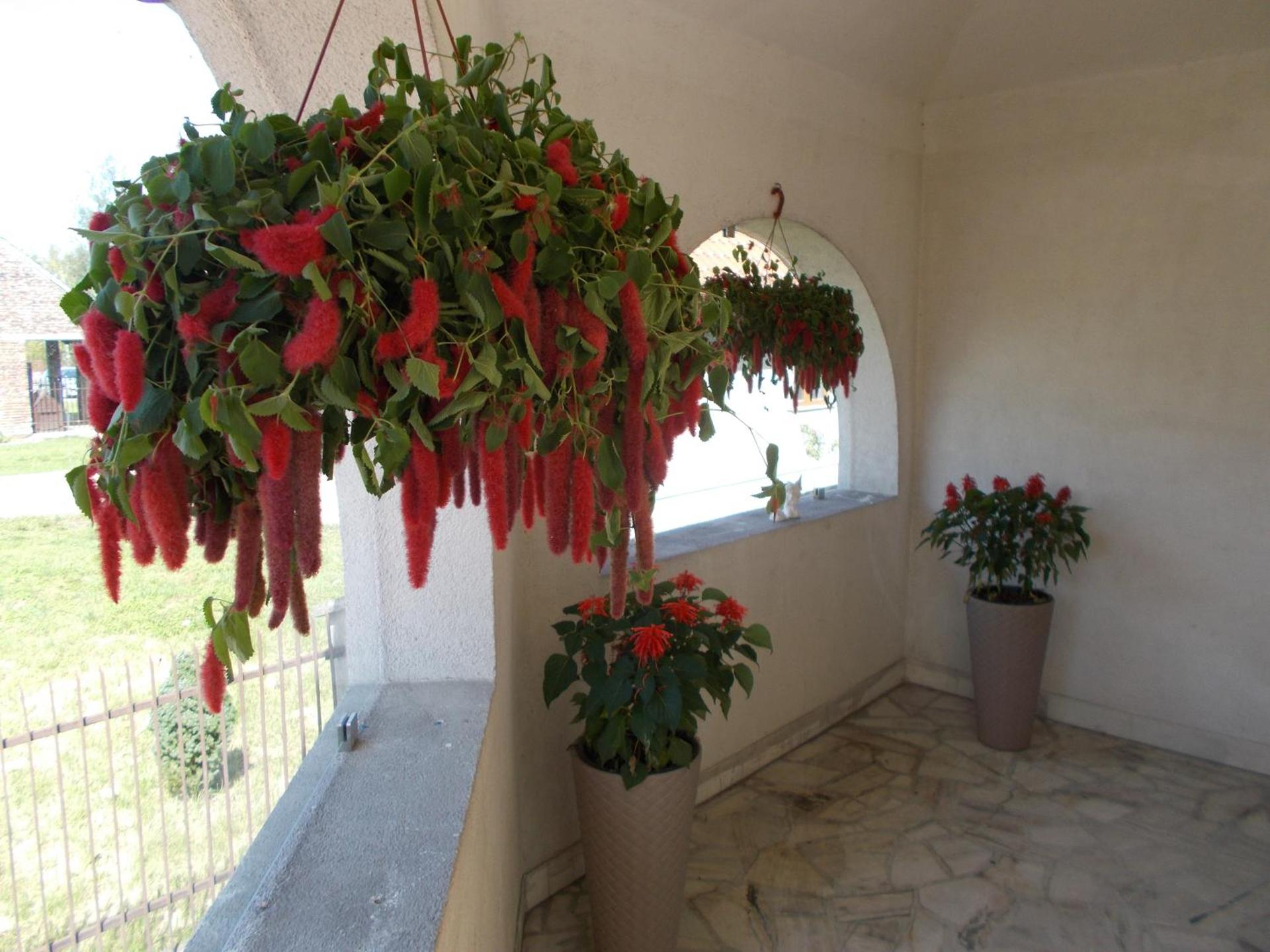 Apartamenty Nad Wisłą