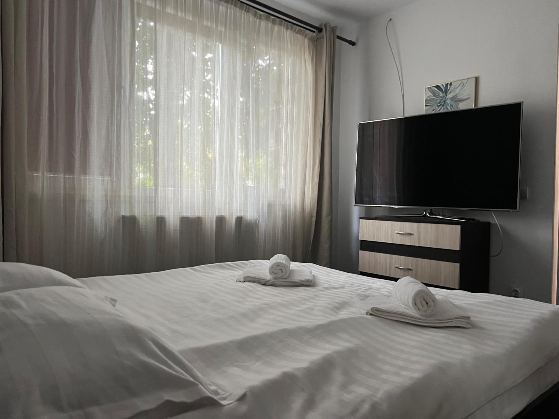 Cozy Apartment Hunedoara