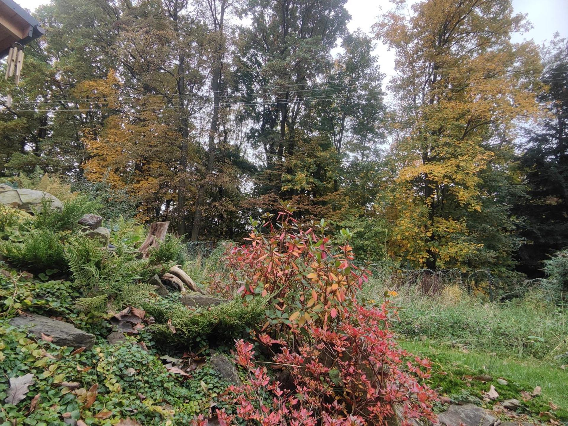 Kwietna łąka na szlaku