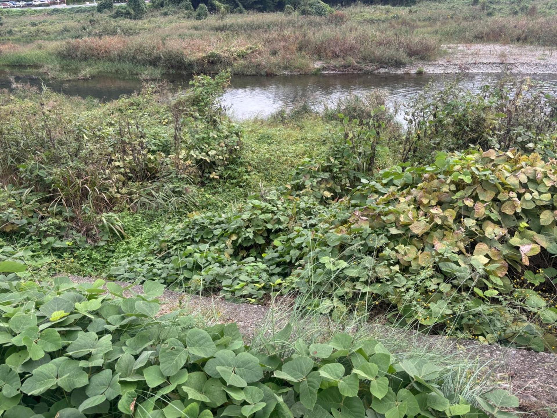 Kami no Tsuki - Vacation STAY 15816