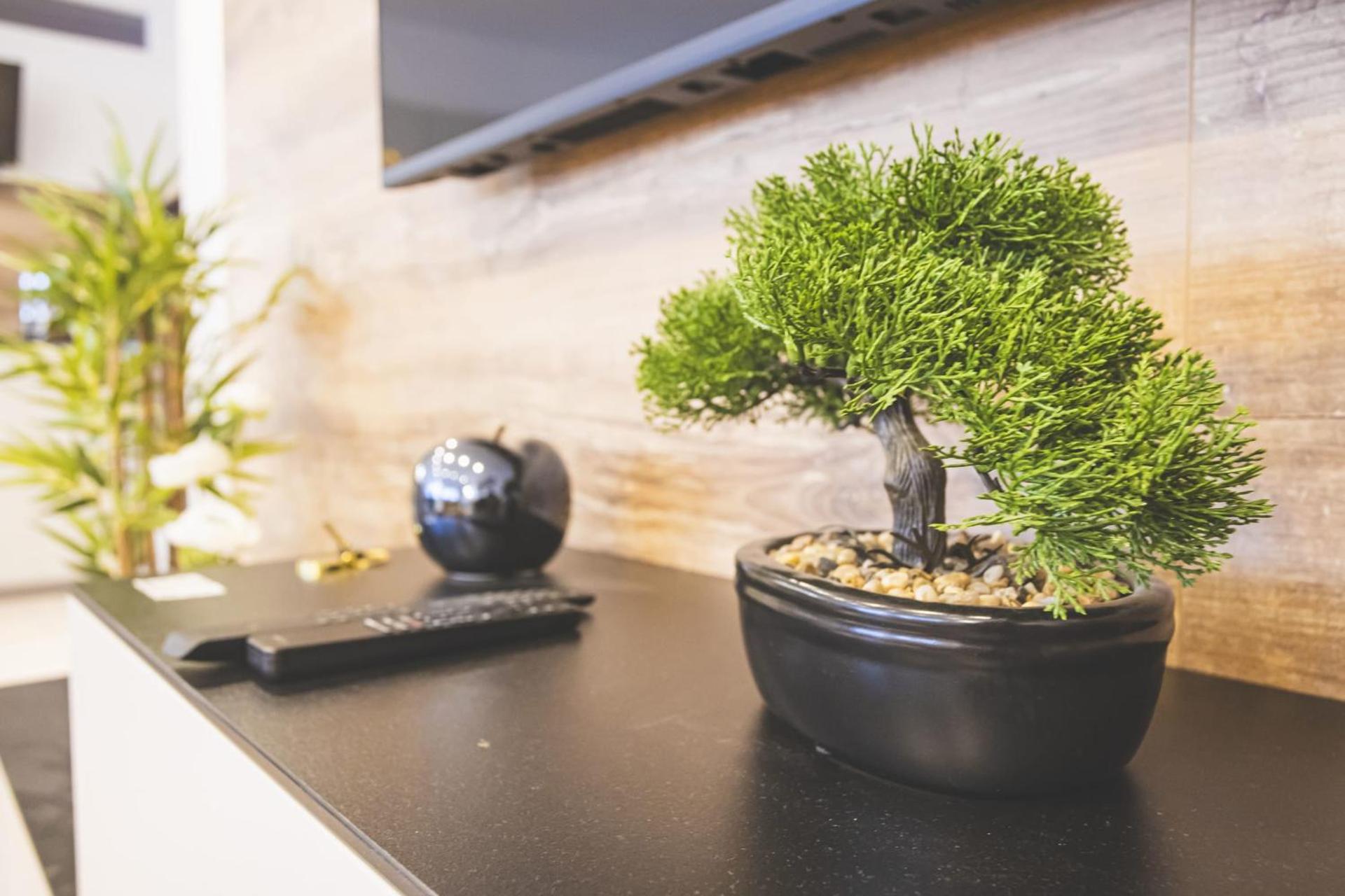 Mas Lac Blanc Terrace Sauna Parking