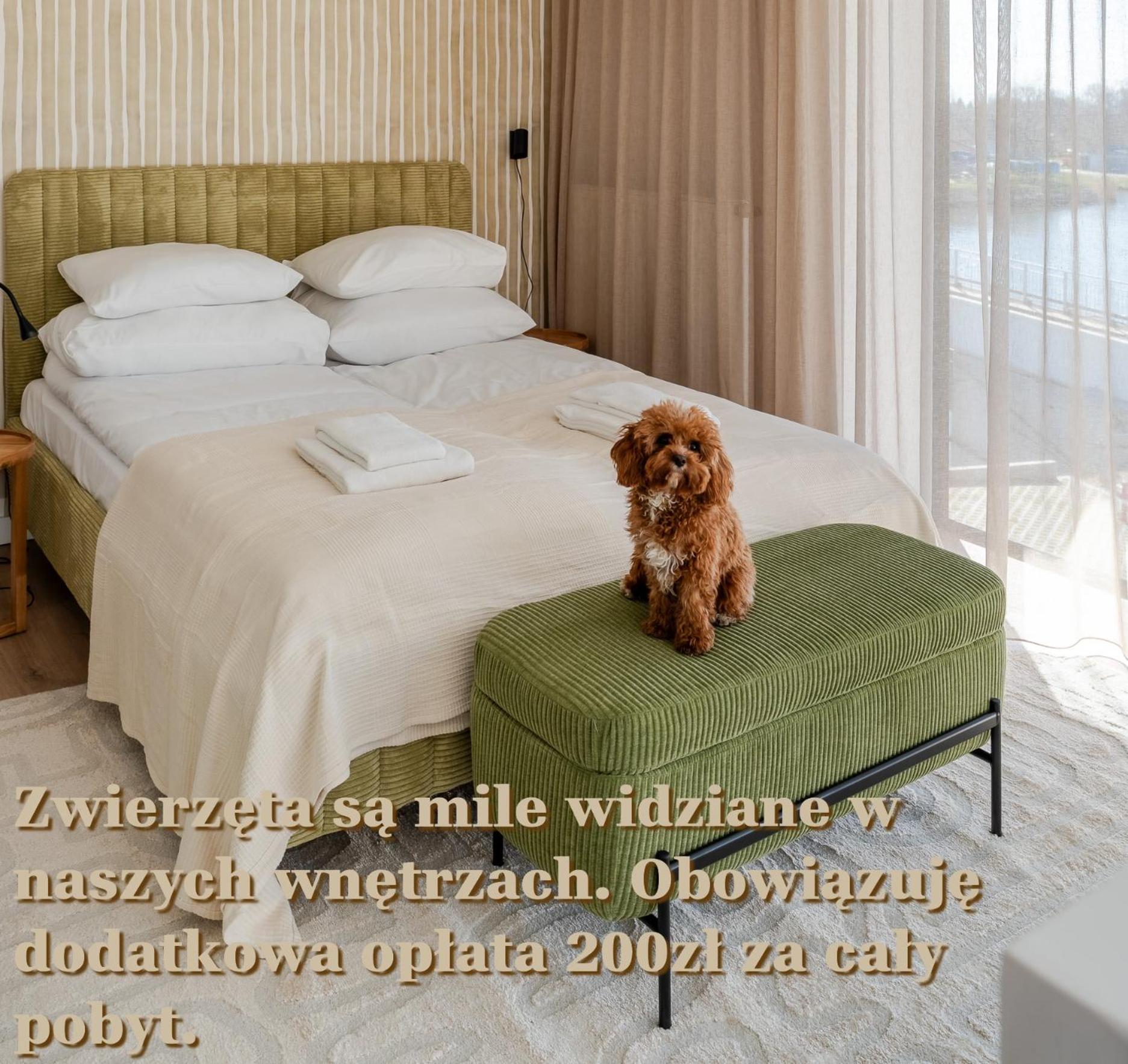 Apartament WOOD SurfingBird Dźwirzyno