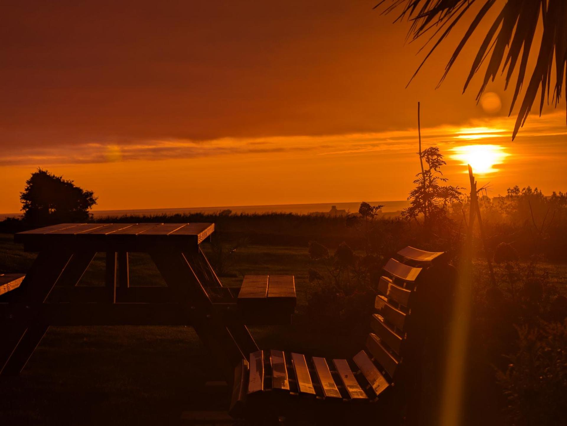 La Tour du Bois Dormant
