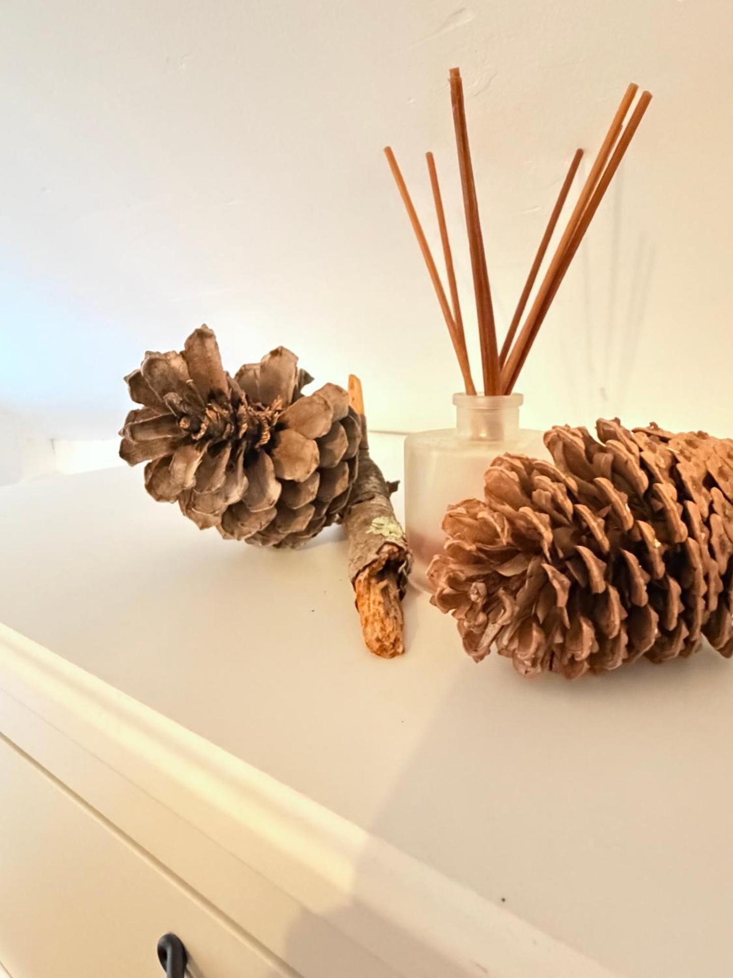 Le cocoon de Marie Astrid- Centre&plage Arcachon